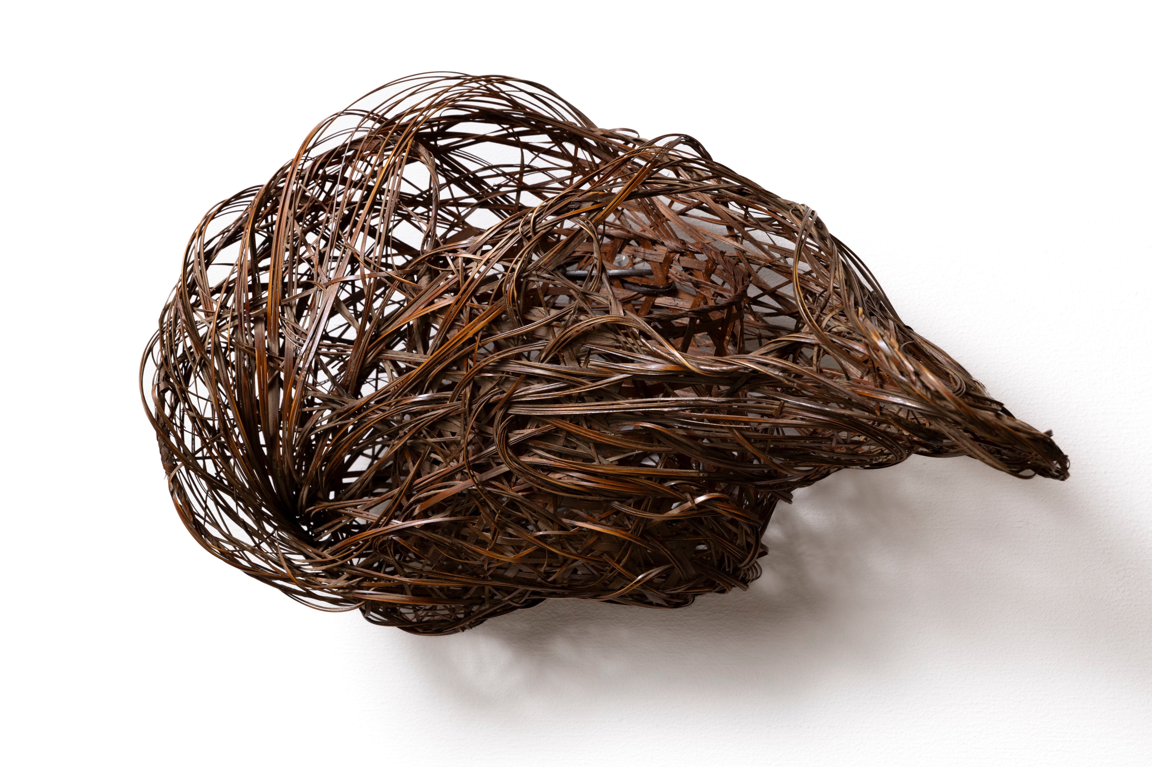 長倉健一 水のかたち | 斎藤正光 監修