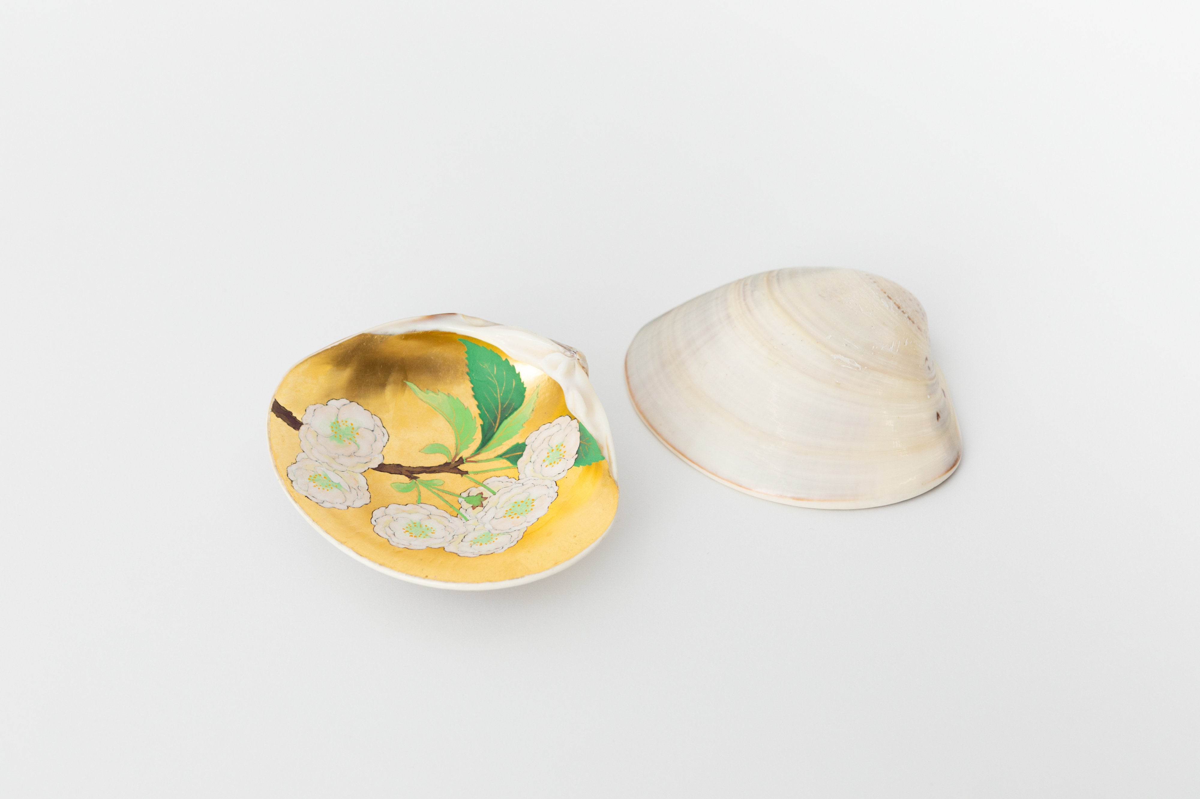 貝覆 白妙(画:譲原嵩文) | 雲龍庵
