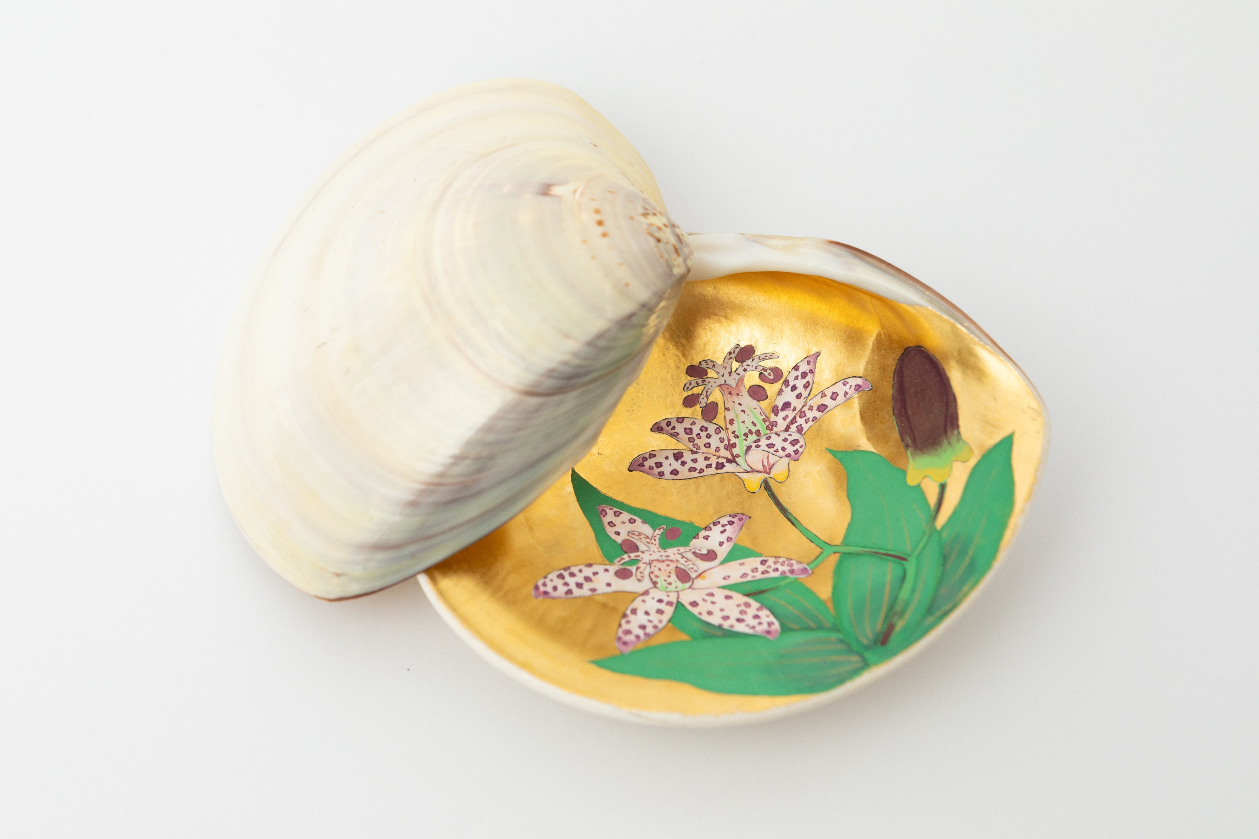 貝覆 杜鵑草(画:譲原嵩文) | 雲龍庵