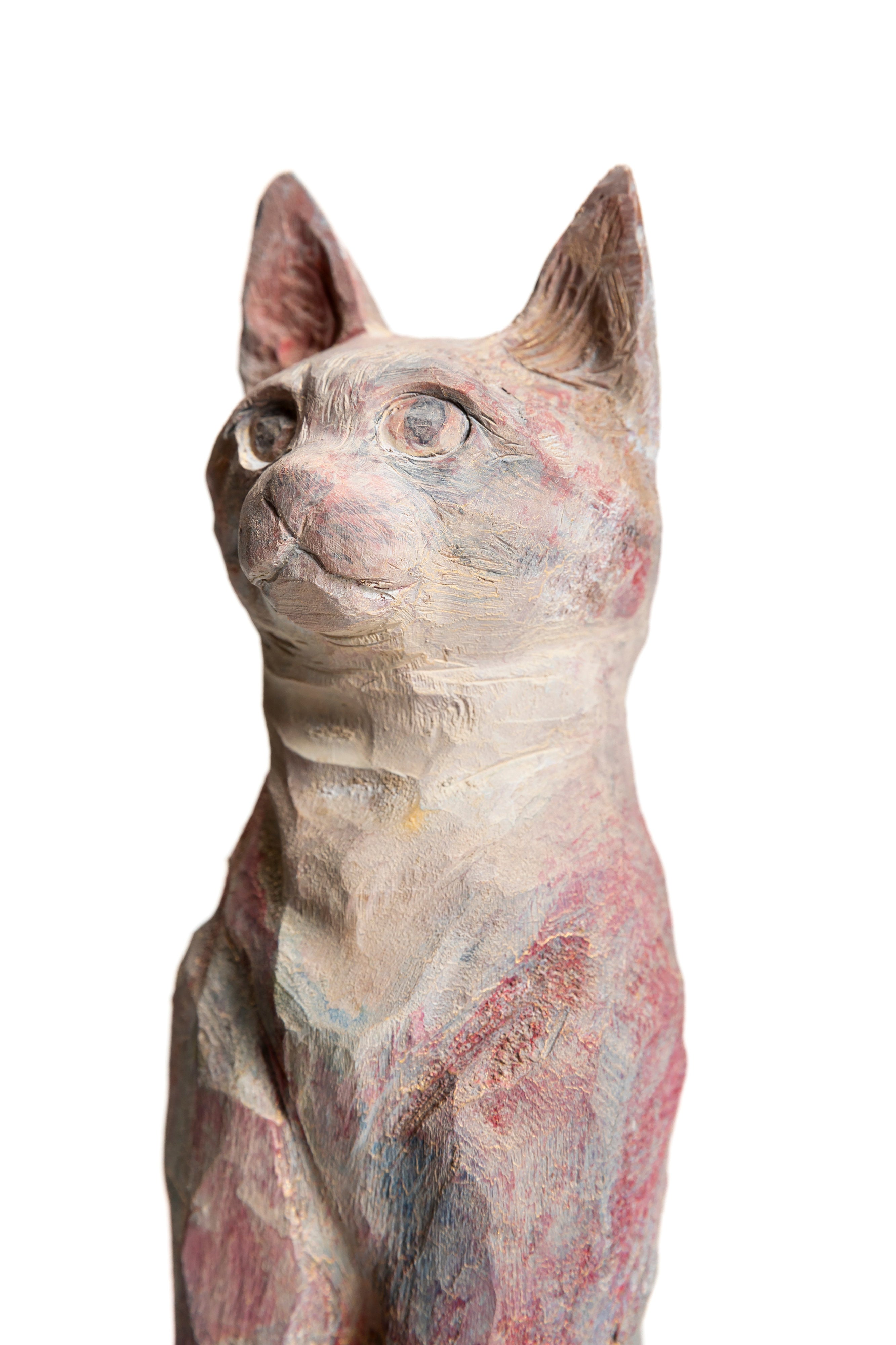 NEKO | 十時 孝好