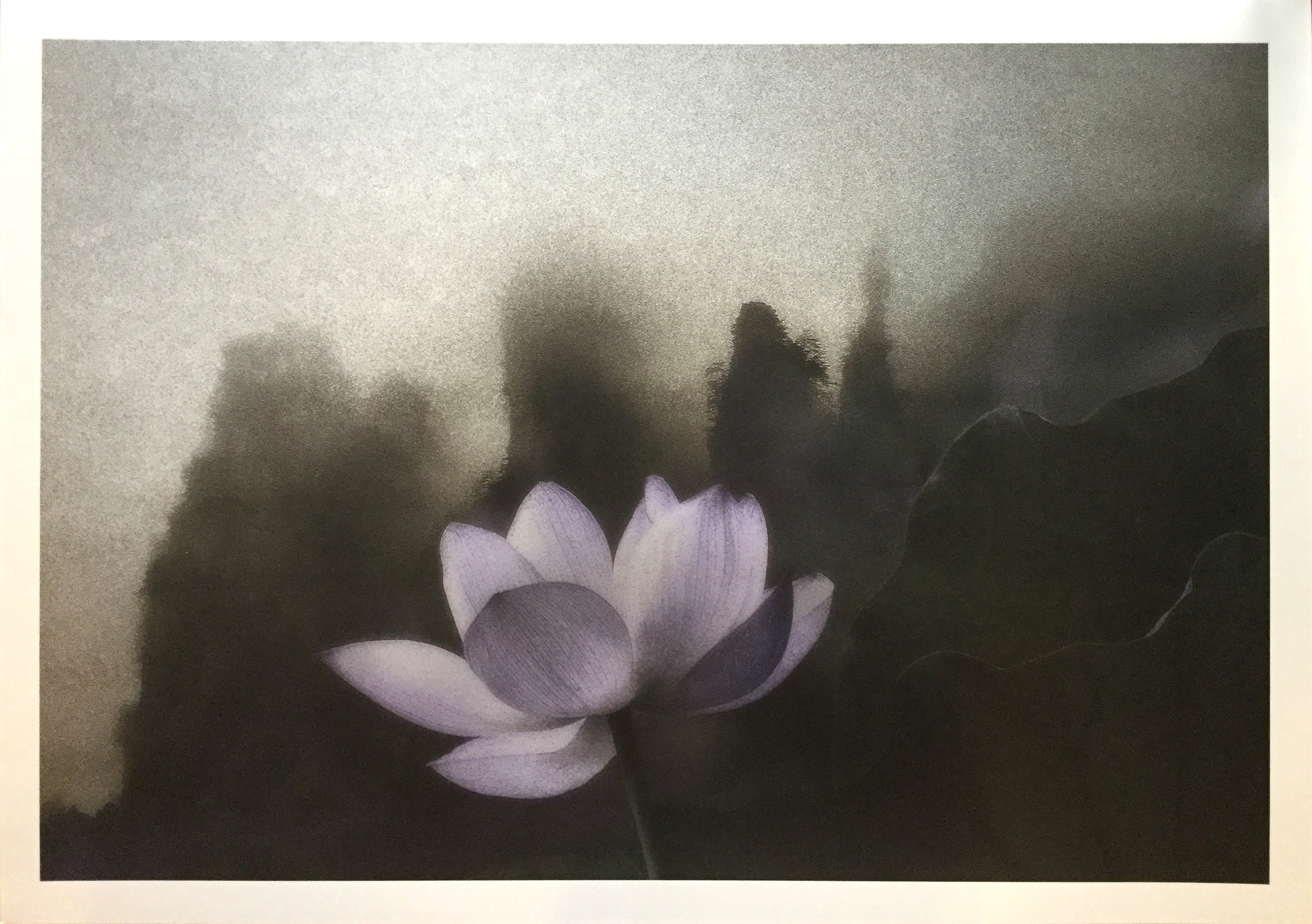 若杉 憲司 | 天上の花 3(シート)