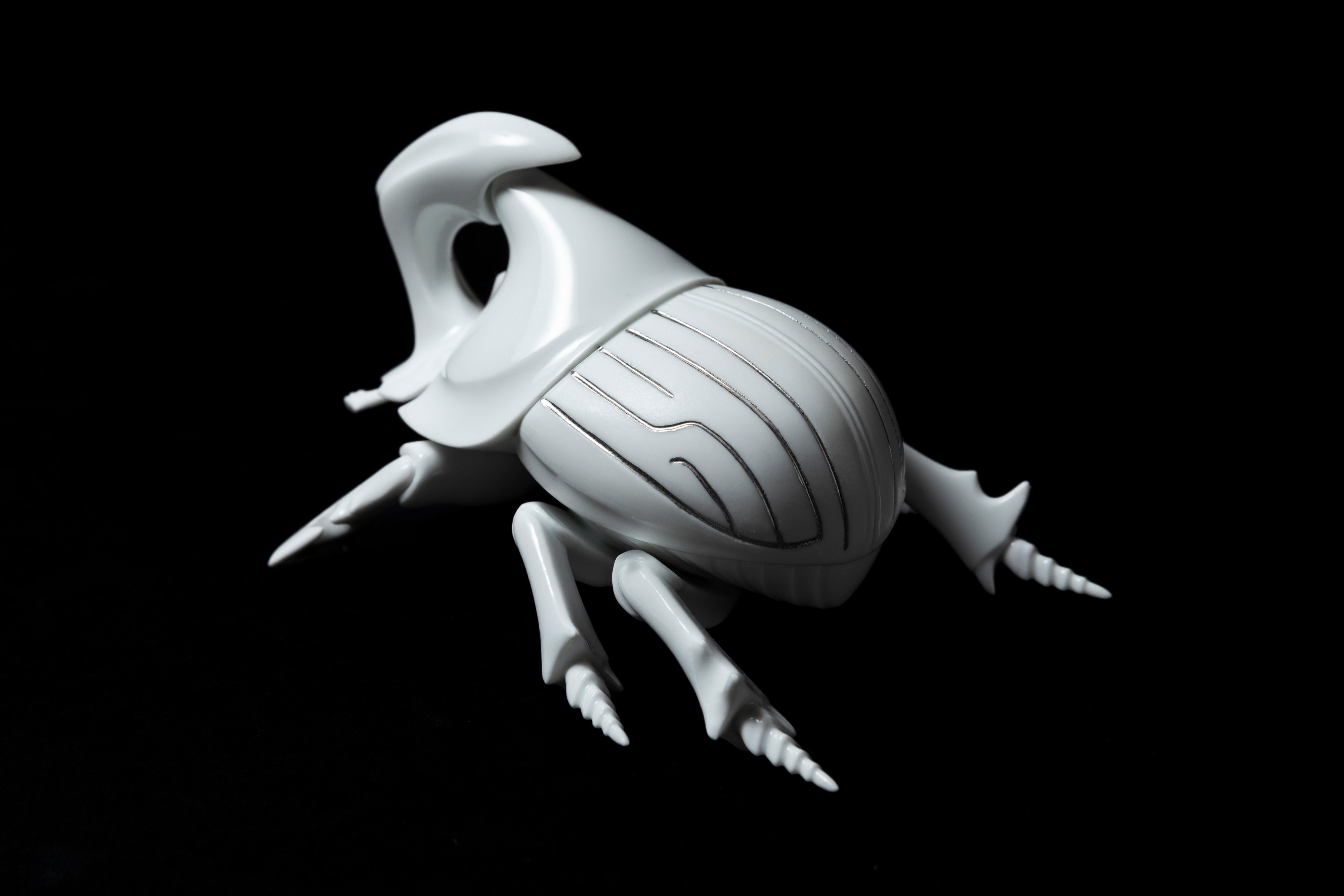 White Horned dung beetle P23 | 堀 貴春