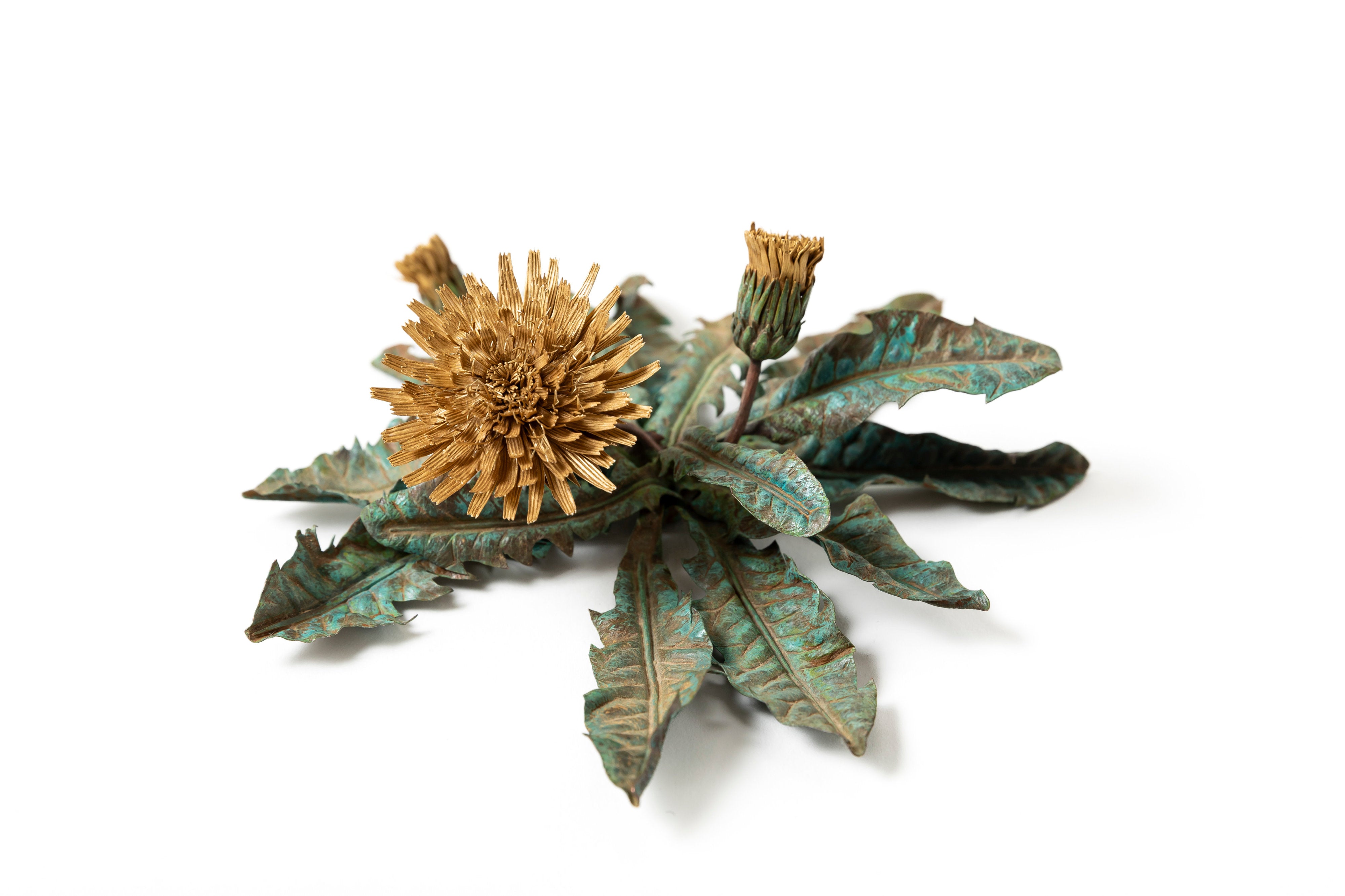 「旅の記憶 :35.01xx° N, 135.67xx° E — Dandelion」 | 鈴木 祥太