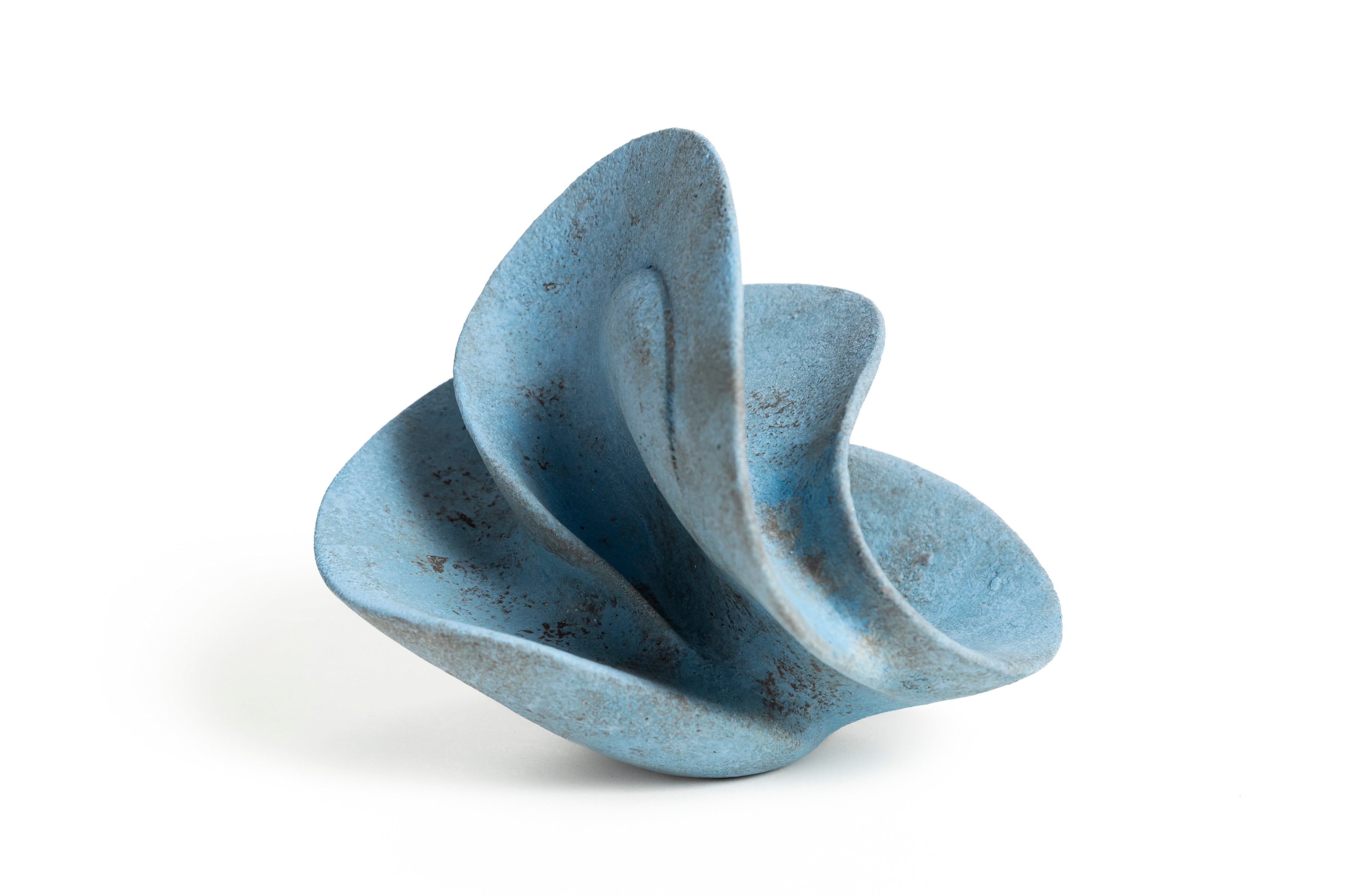 宙の種(そらのたね) | 竹村 友里