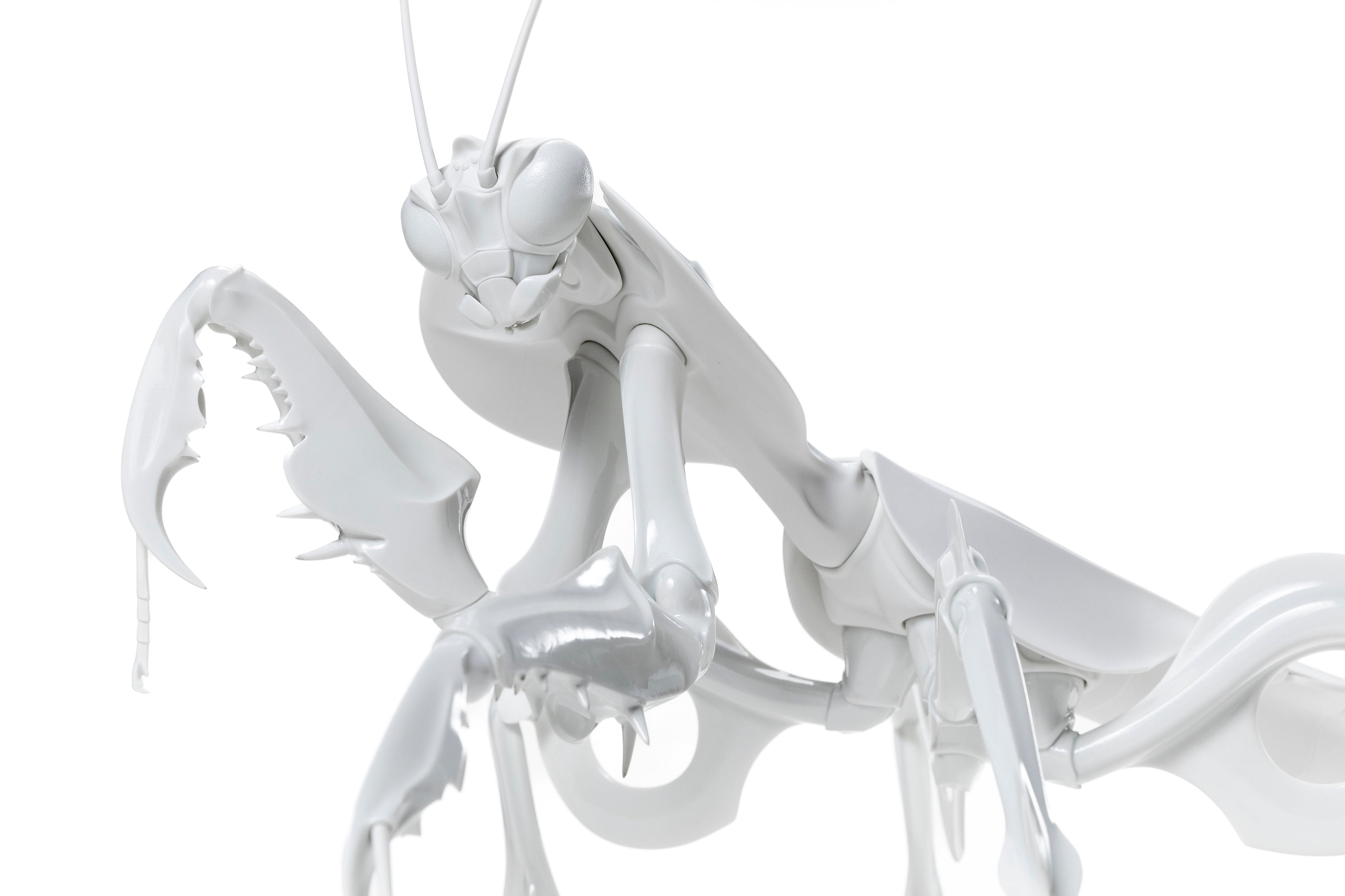 ELEC Actuate Mantis | 堀 貴春