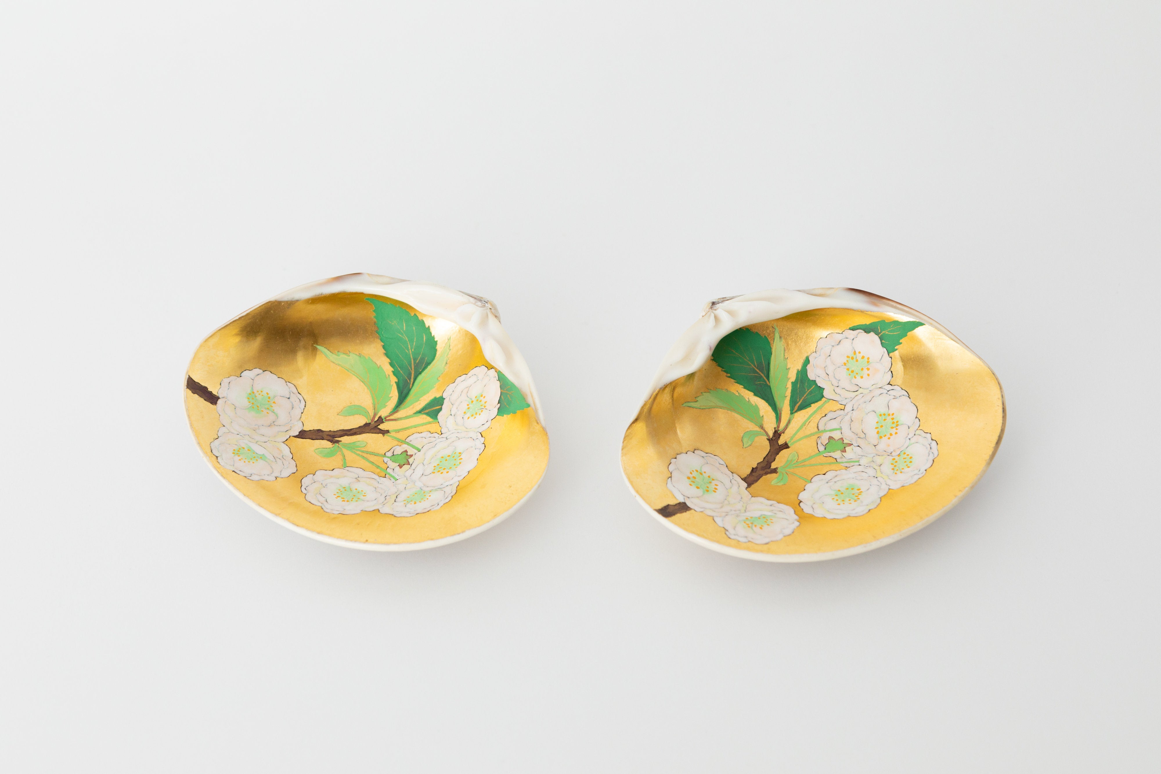 貝覆 白妙(画:譲原嵩文) | 雲龍庵