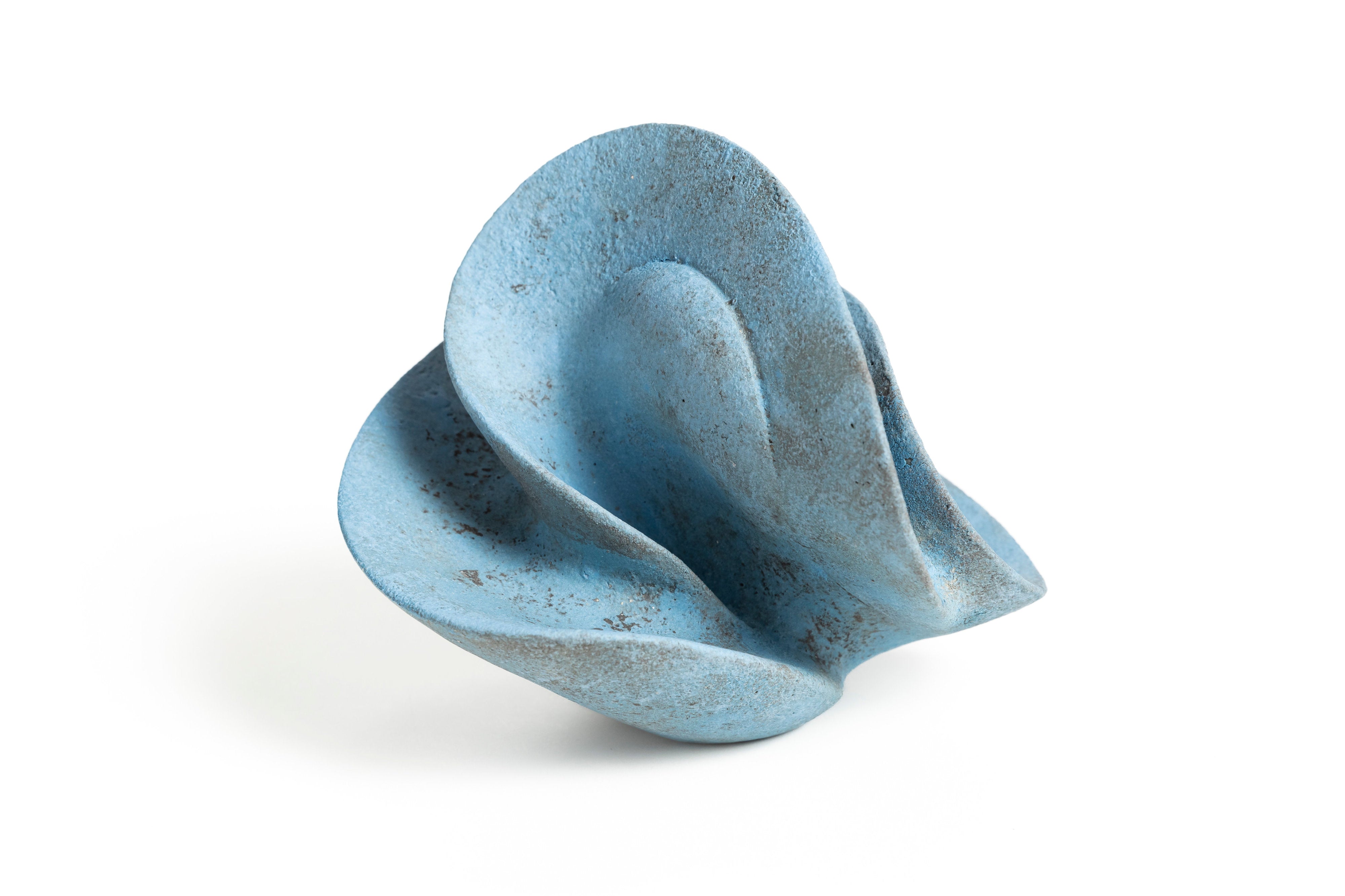 宙の種(そらのたね) | 竹村 友里