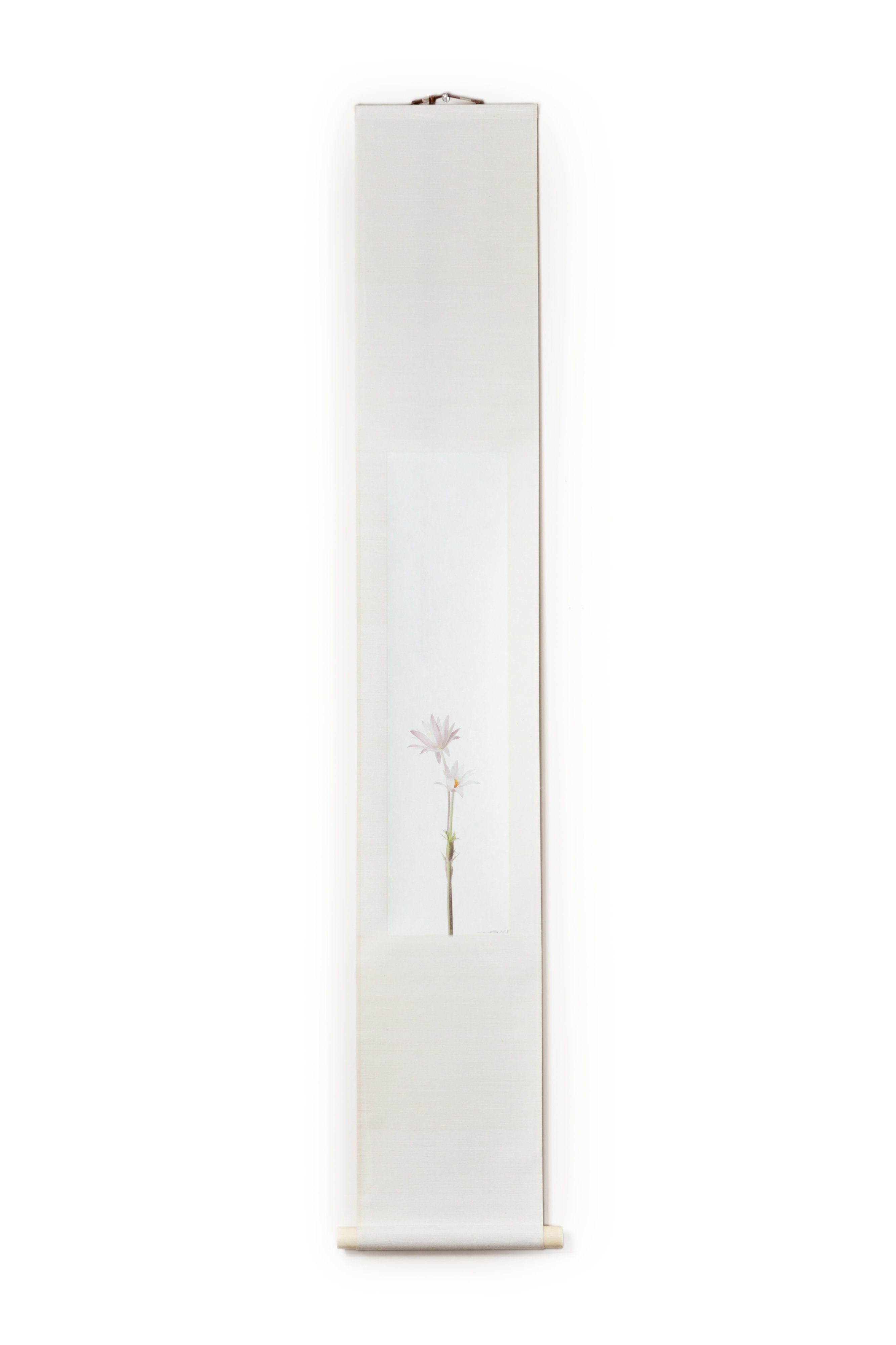 「牡丹一華(アネモネ・白)」(2/5)Anemone, White Scroll | 鞆岡 隆史