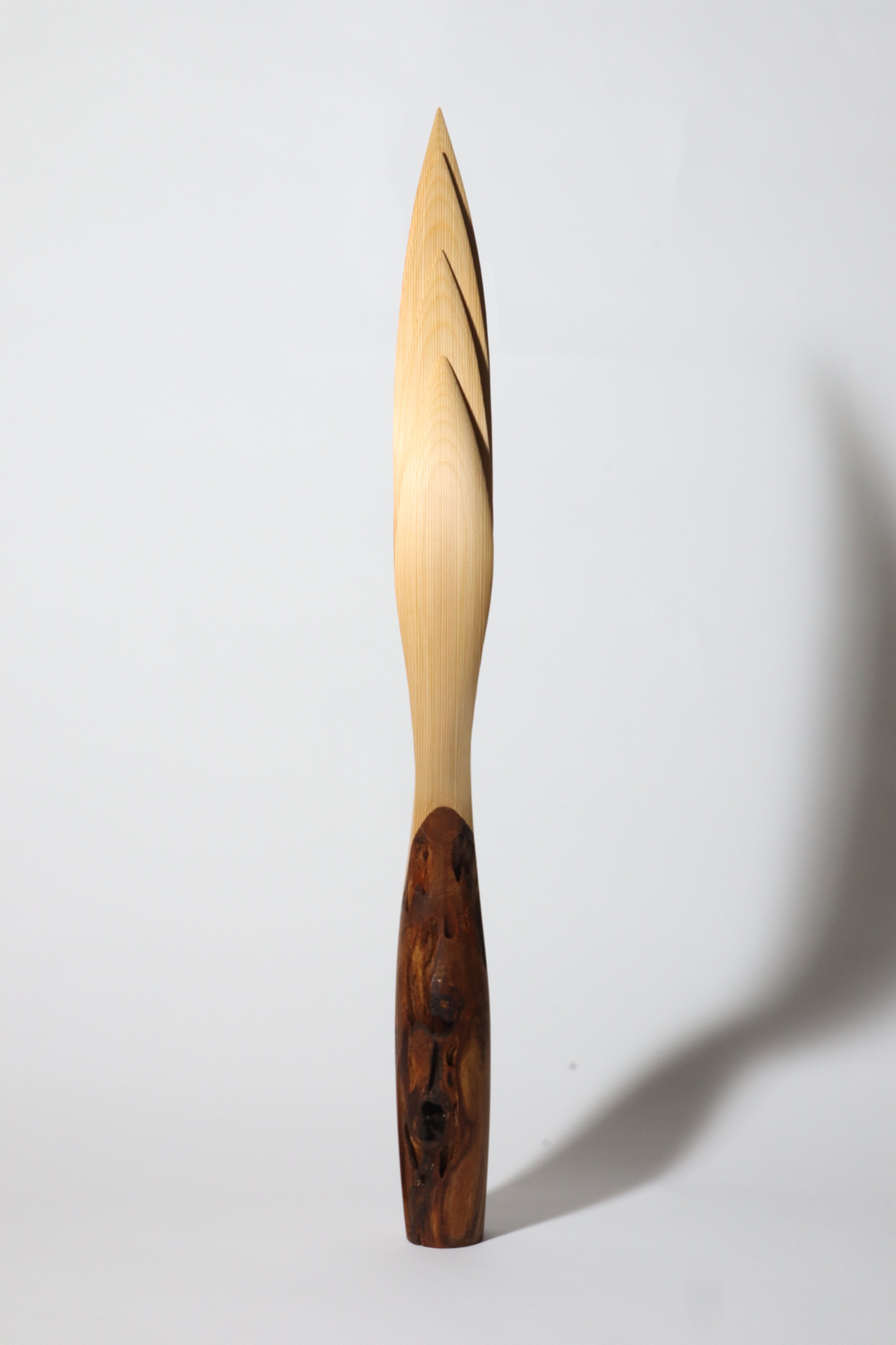 「飛翔」 | 平井 健太