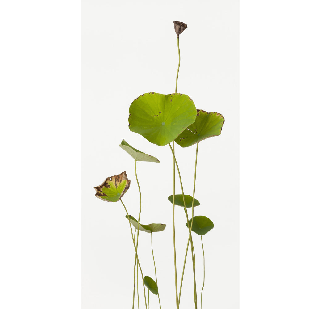 Photography: 鞆岡 隆史