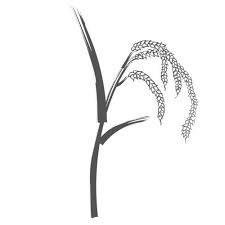 臨時休廊のお知らせ