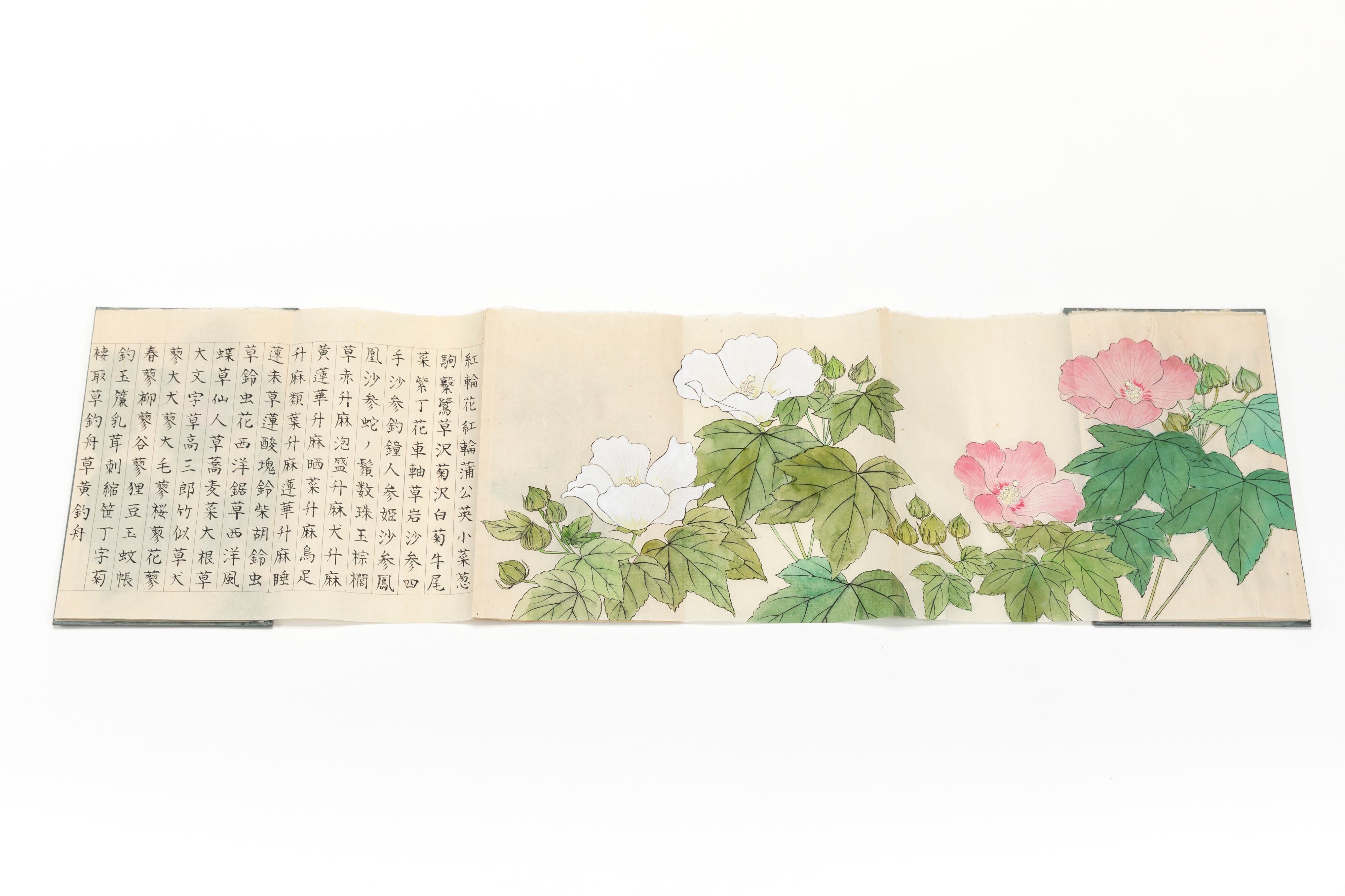折本 「茶花帖」 | 川岸 富士男