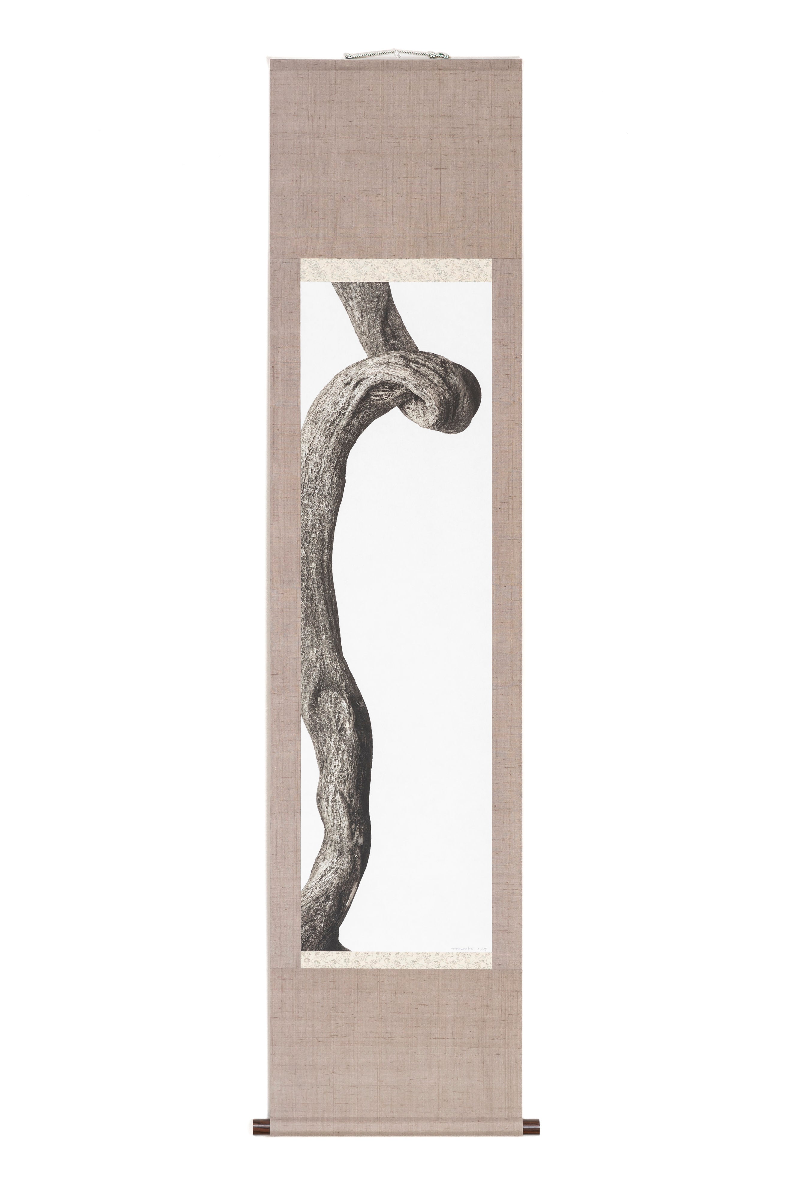 「藤蔓 1」（1/15) | 鞆岡 隆史