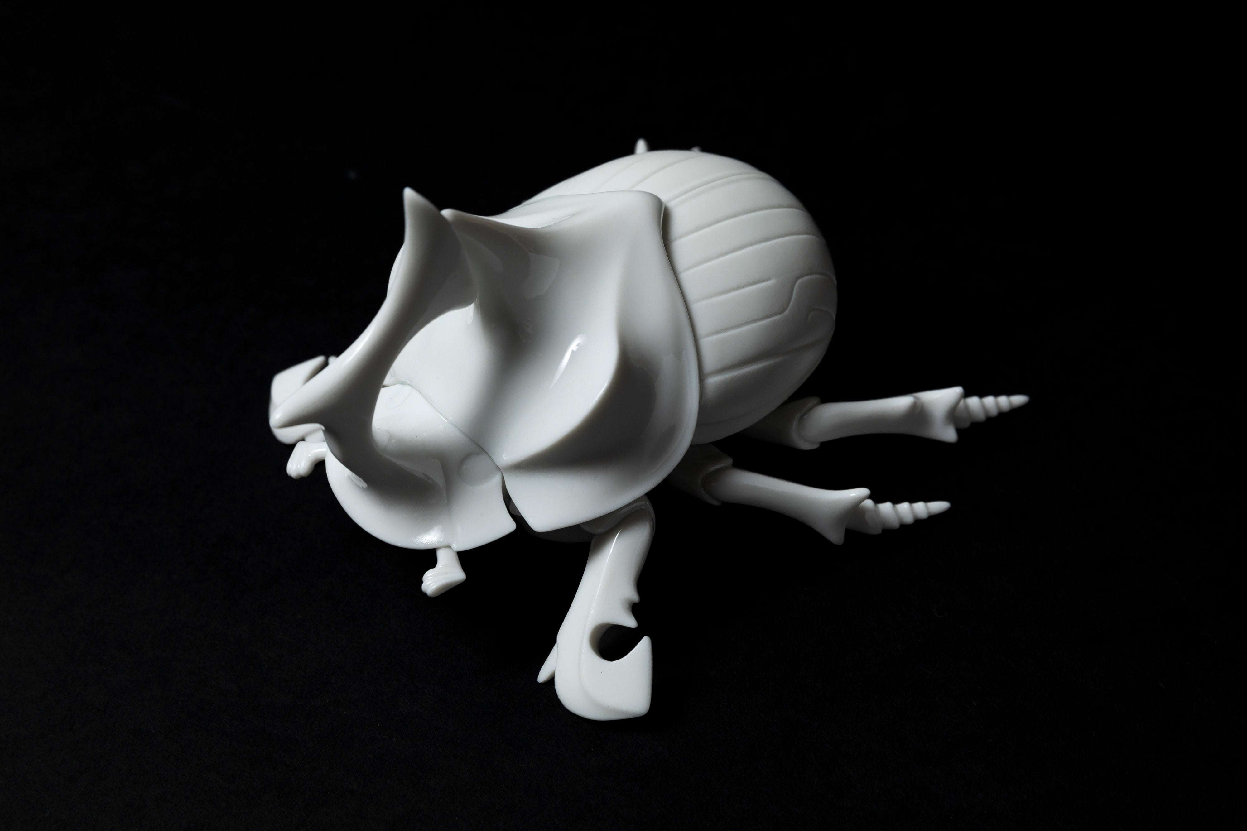 White Horned dung beetleΔ20 | 堀 貴春