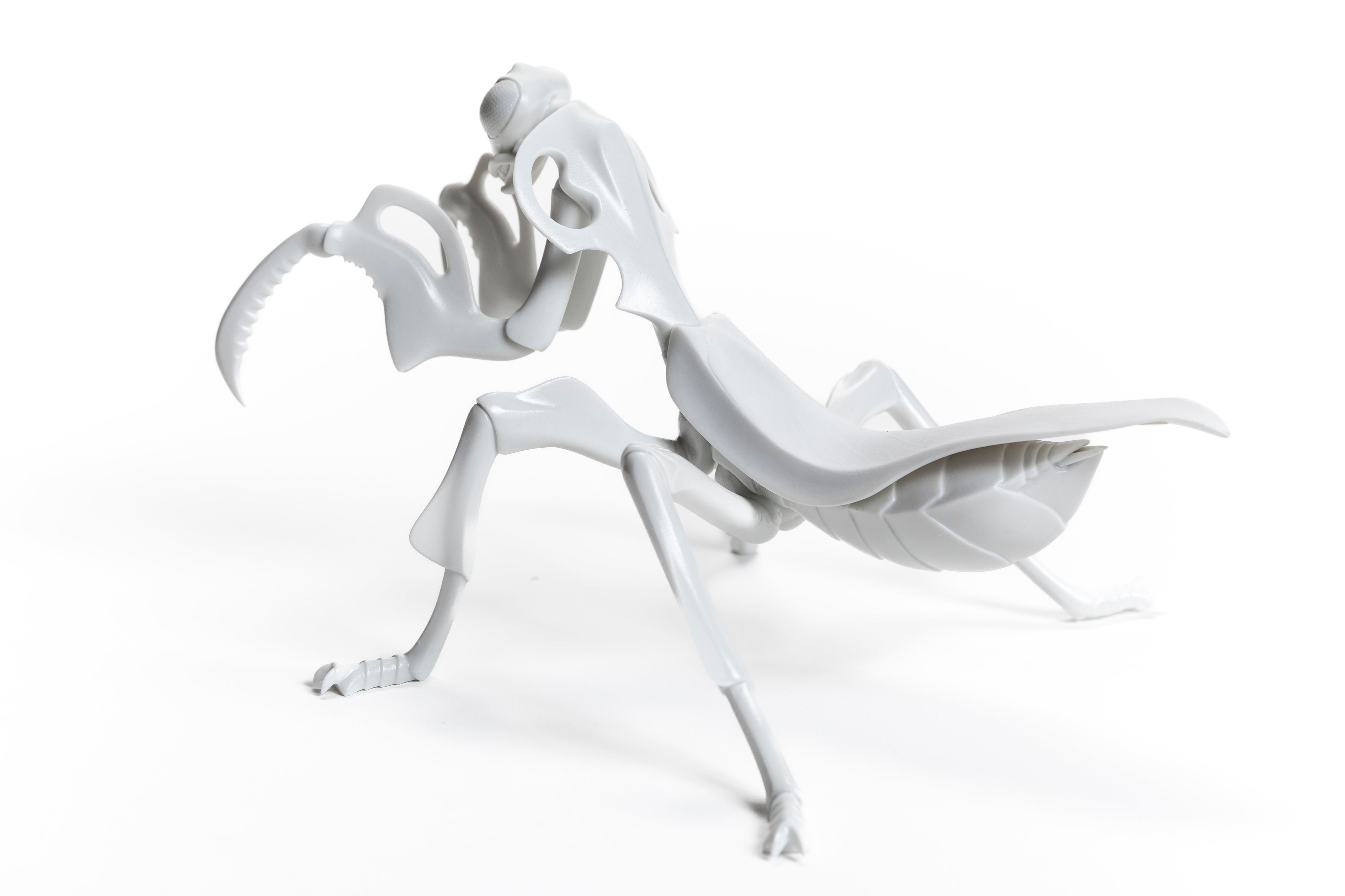 White Mantis Φ24 | 堀 貴春