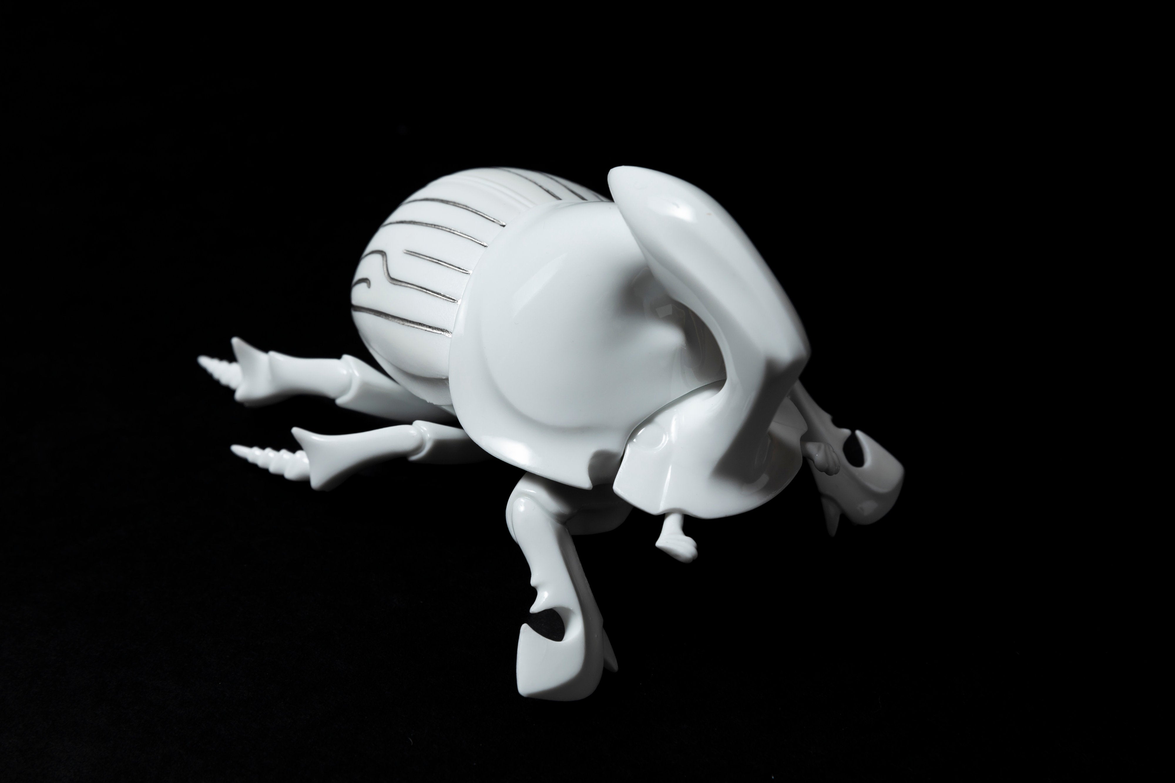 White Horned dung beetle P23 | 堀 貴春