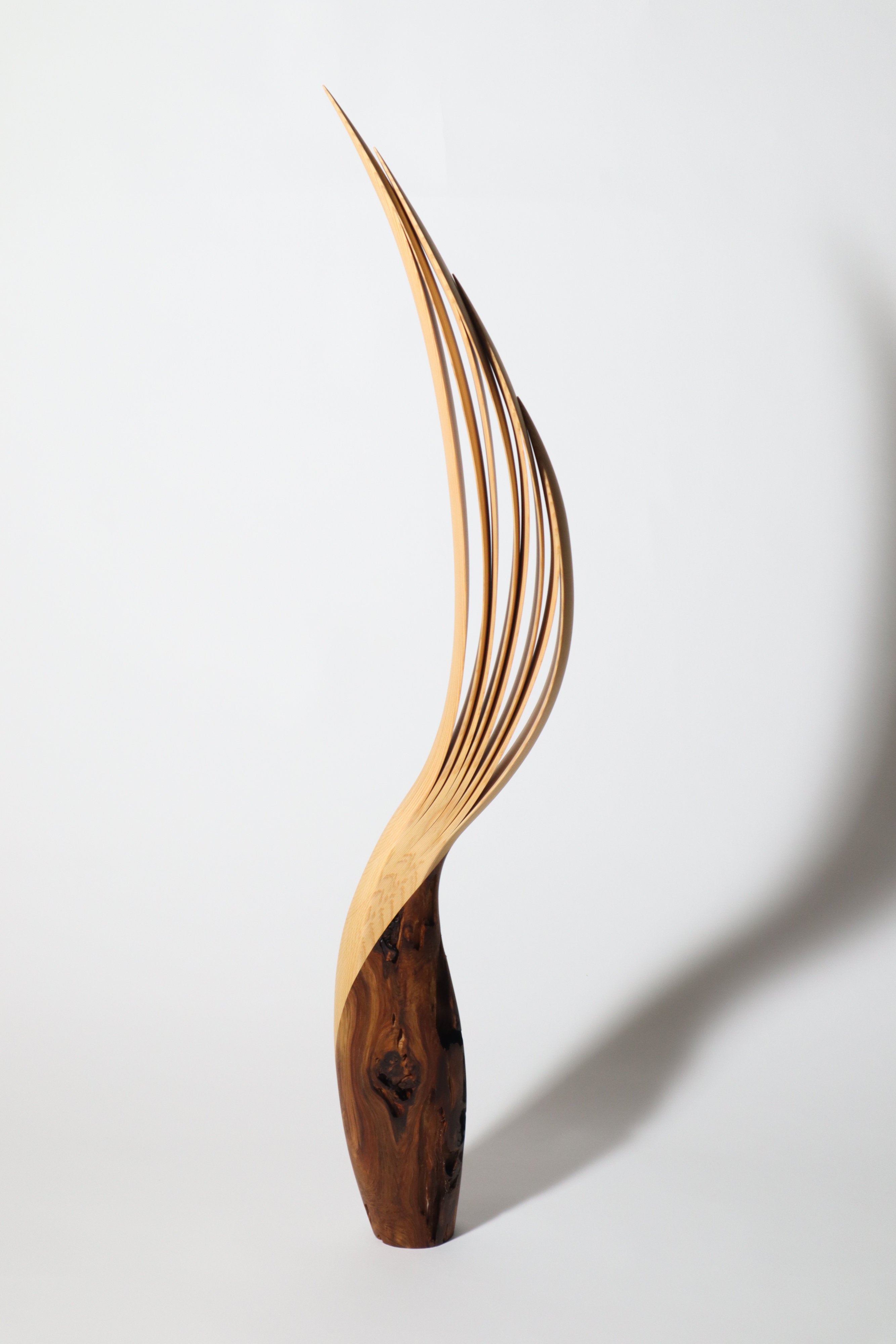 「飛翔」 | 平井 健太