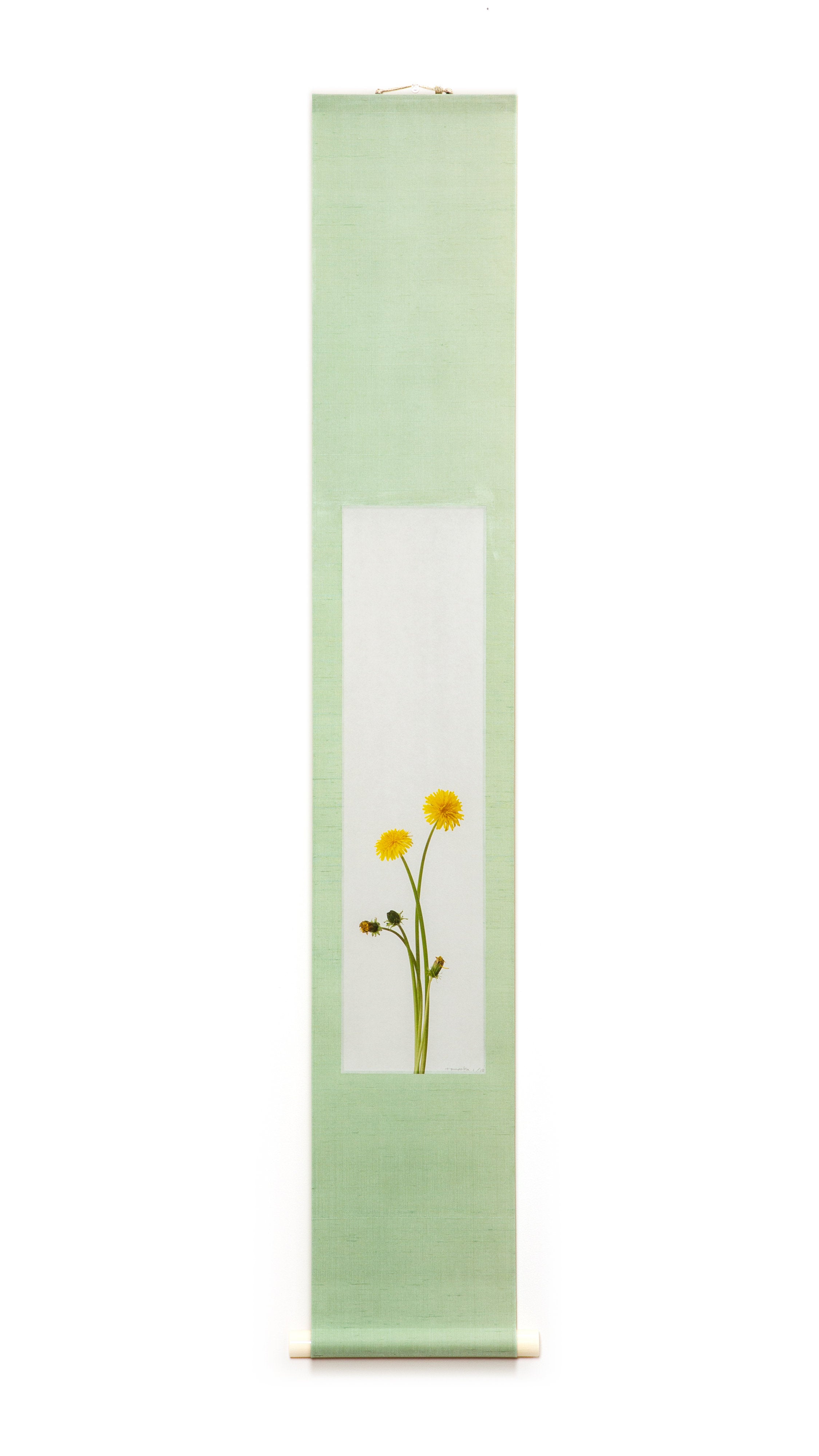 “樱花8”（1/15）