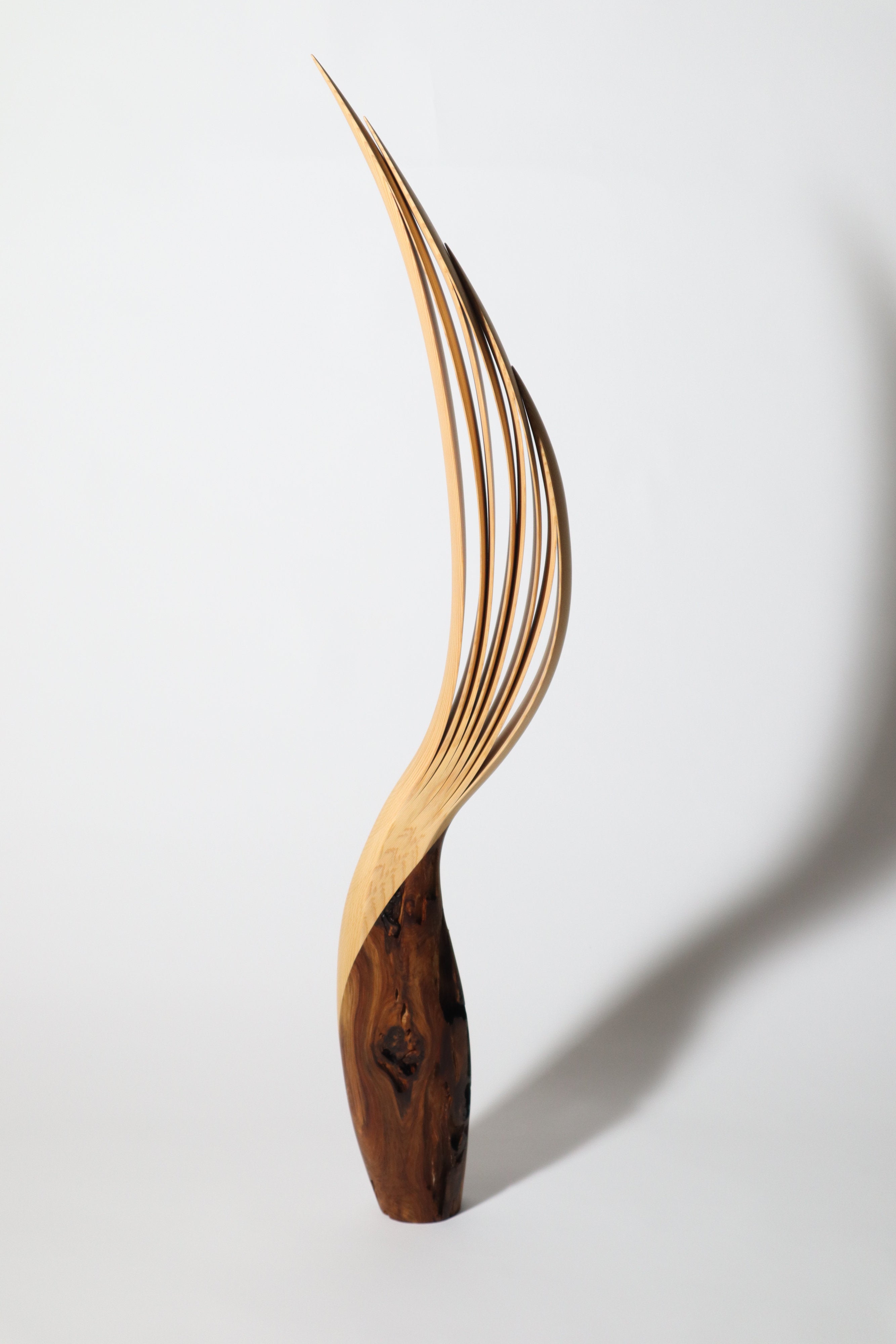 「飛翔」 | 平井 健太