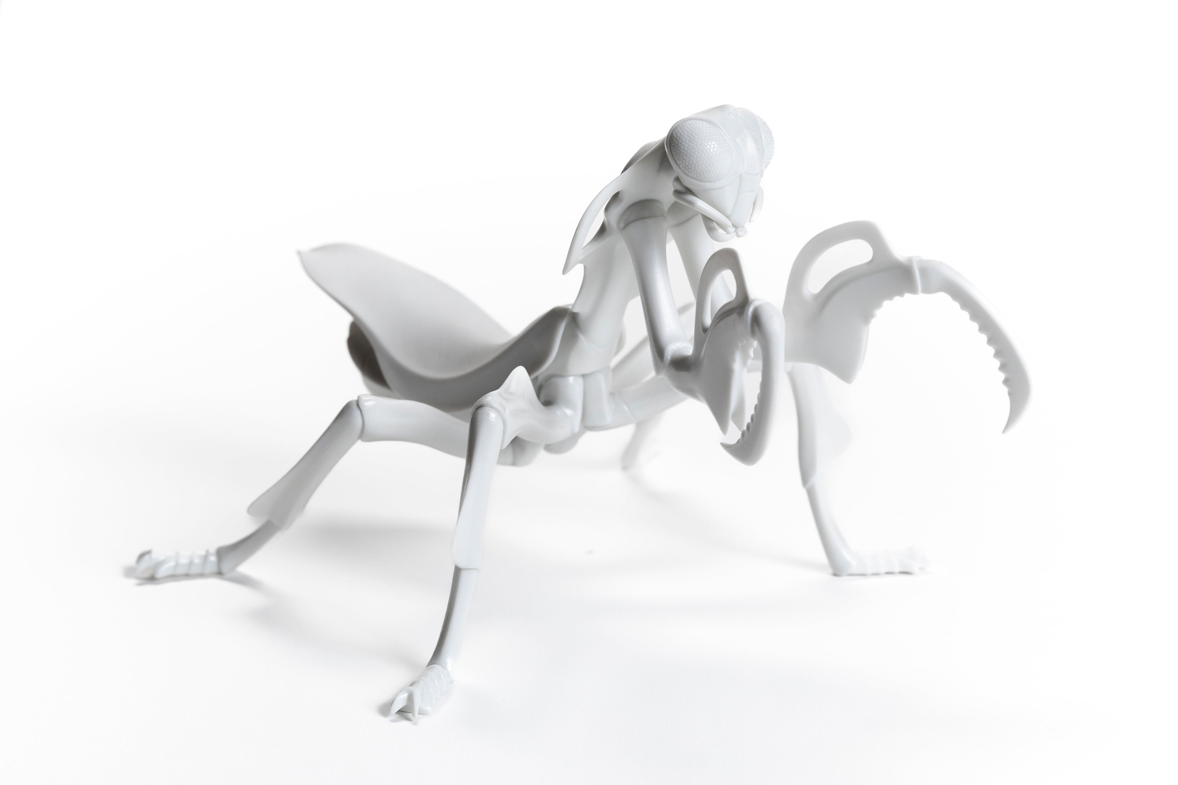 White Mantis Φ24 | 堀 貴春