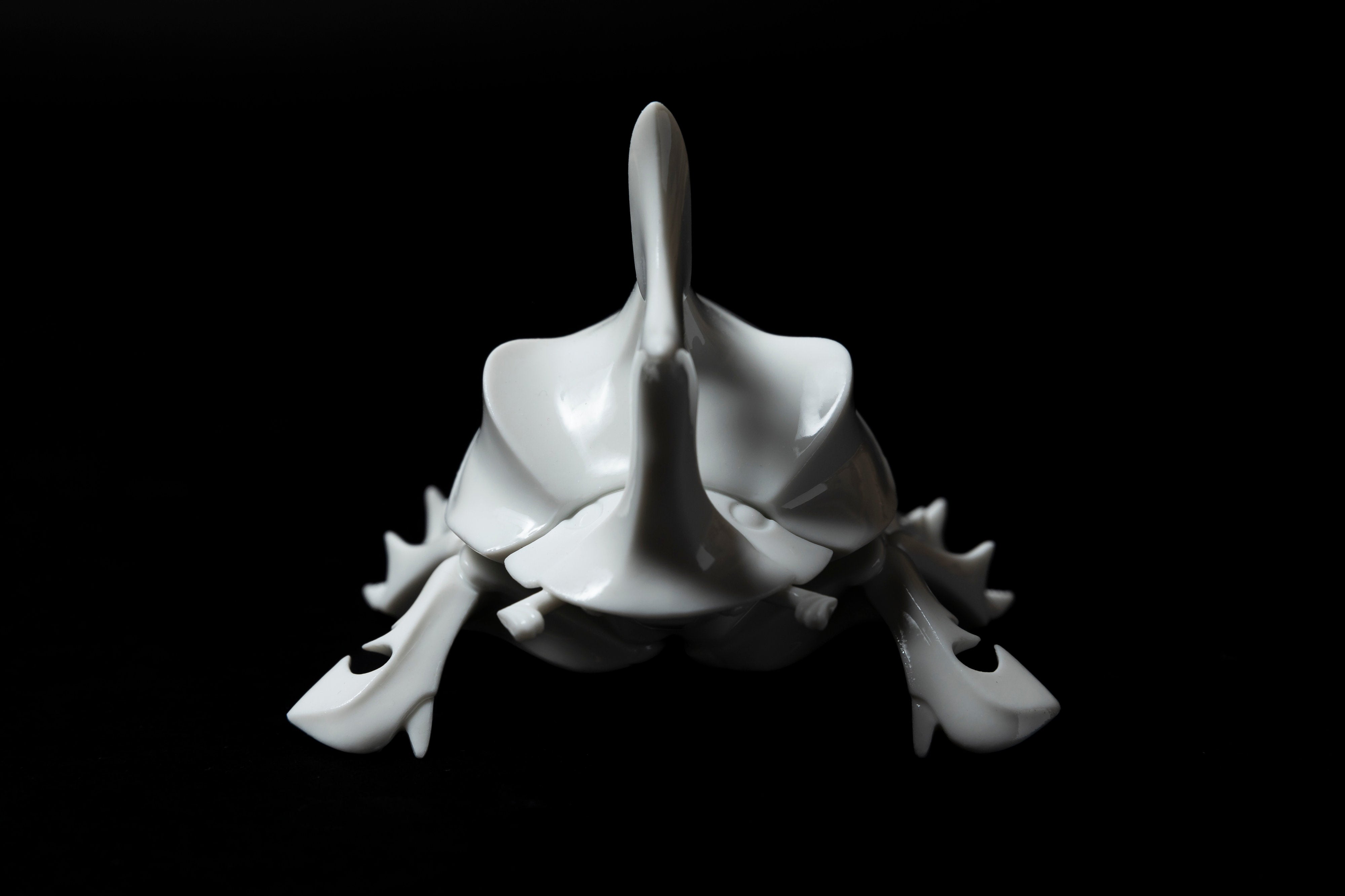 White Horned dung beetleΔ20 | 堀 貴春