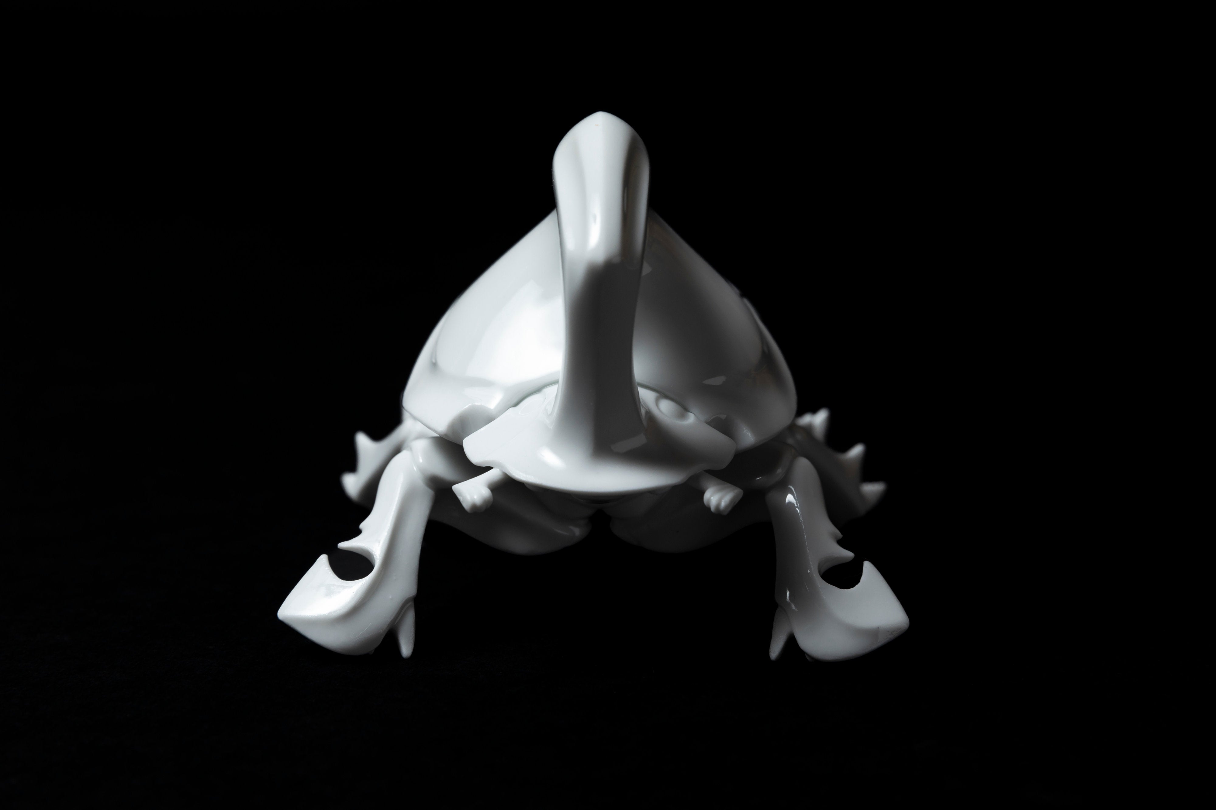 White Horned dung beetle P23 | 堀 貴春