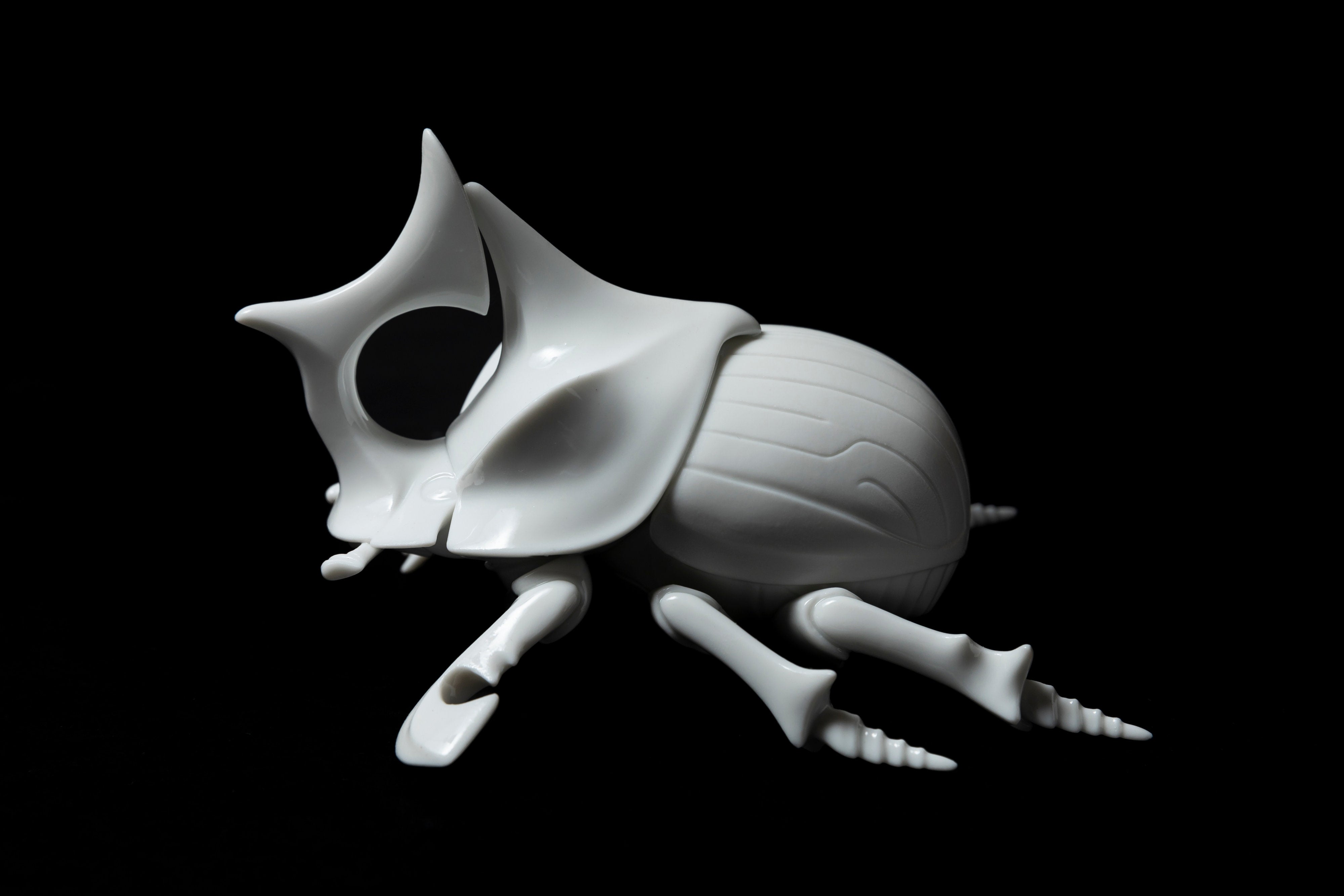 White Horned dung beetleΔ20 | 堀 貴春