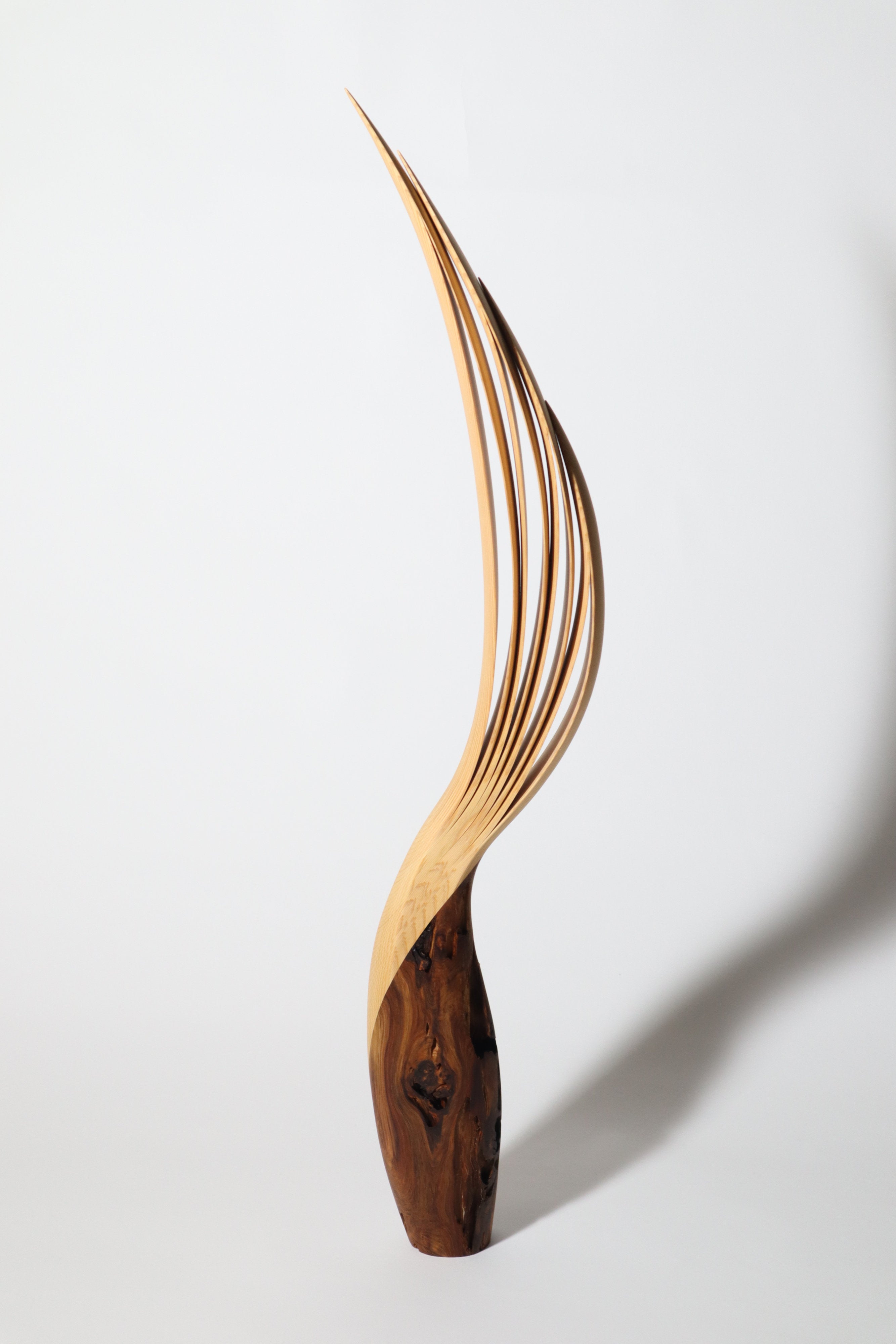 「飛翔」 | 平井 健太