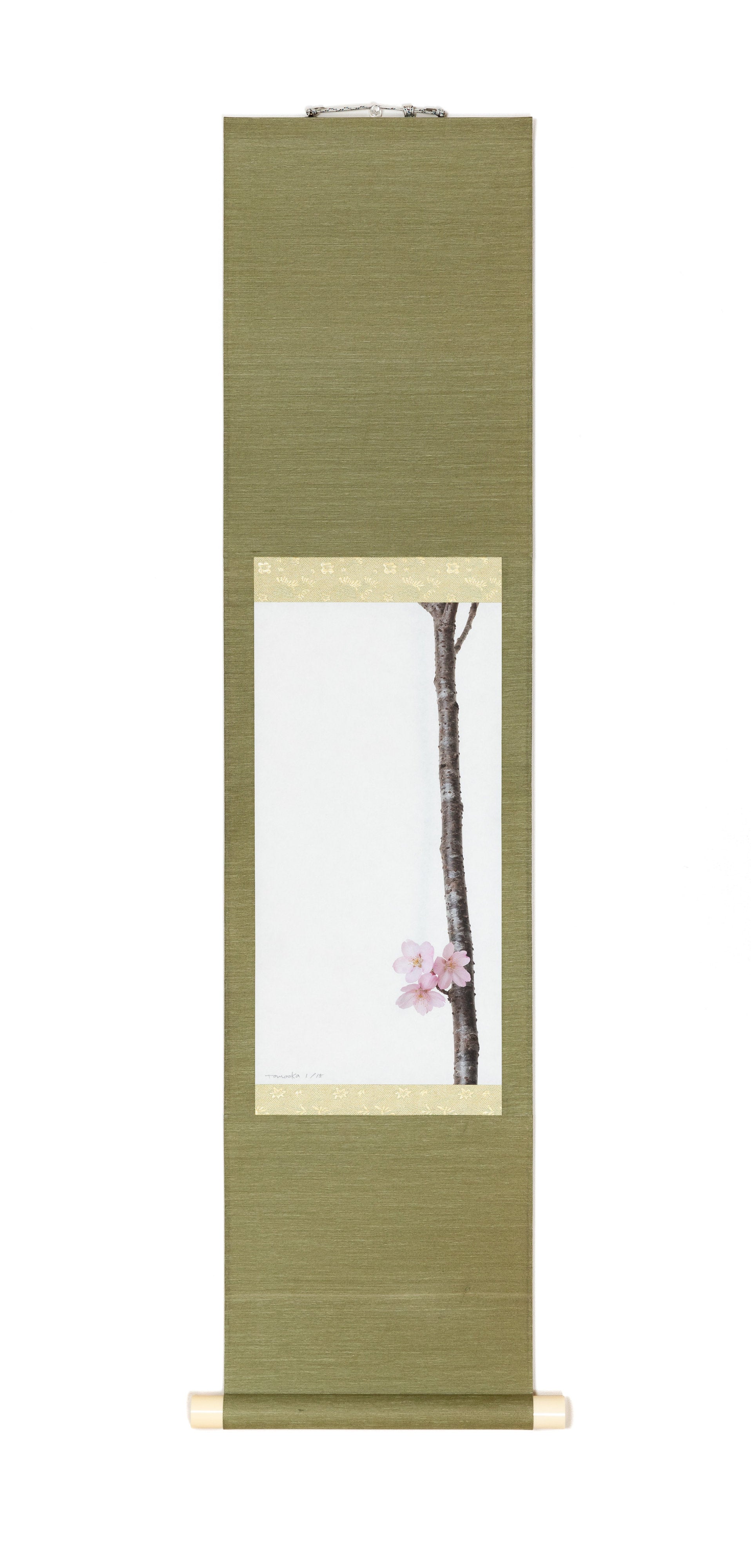 「サクラ（桜）8」（1/15)