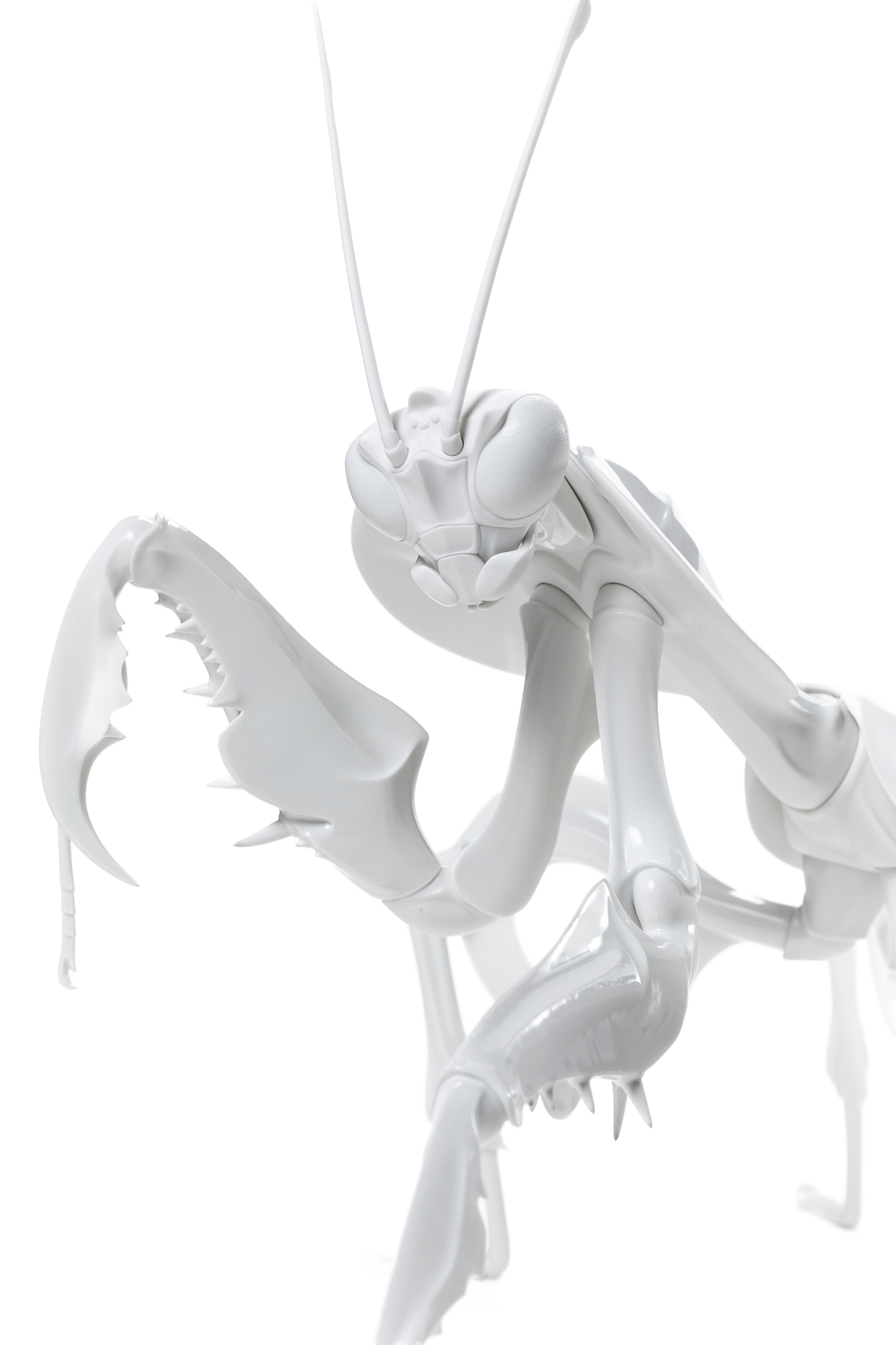 ELEC Actuate Mantis | 堀 貴春