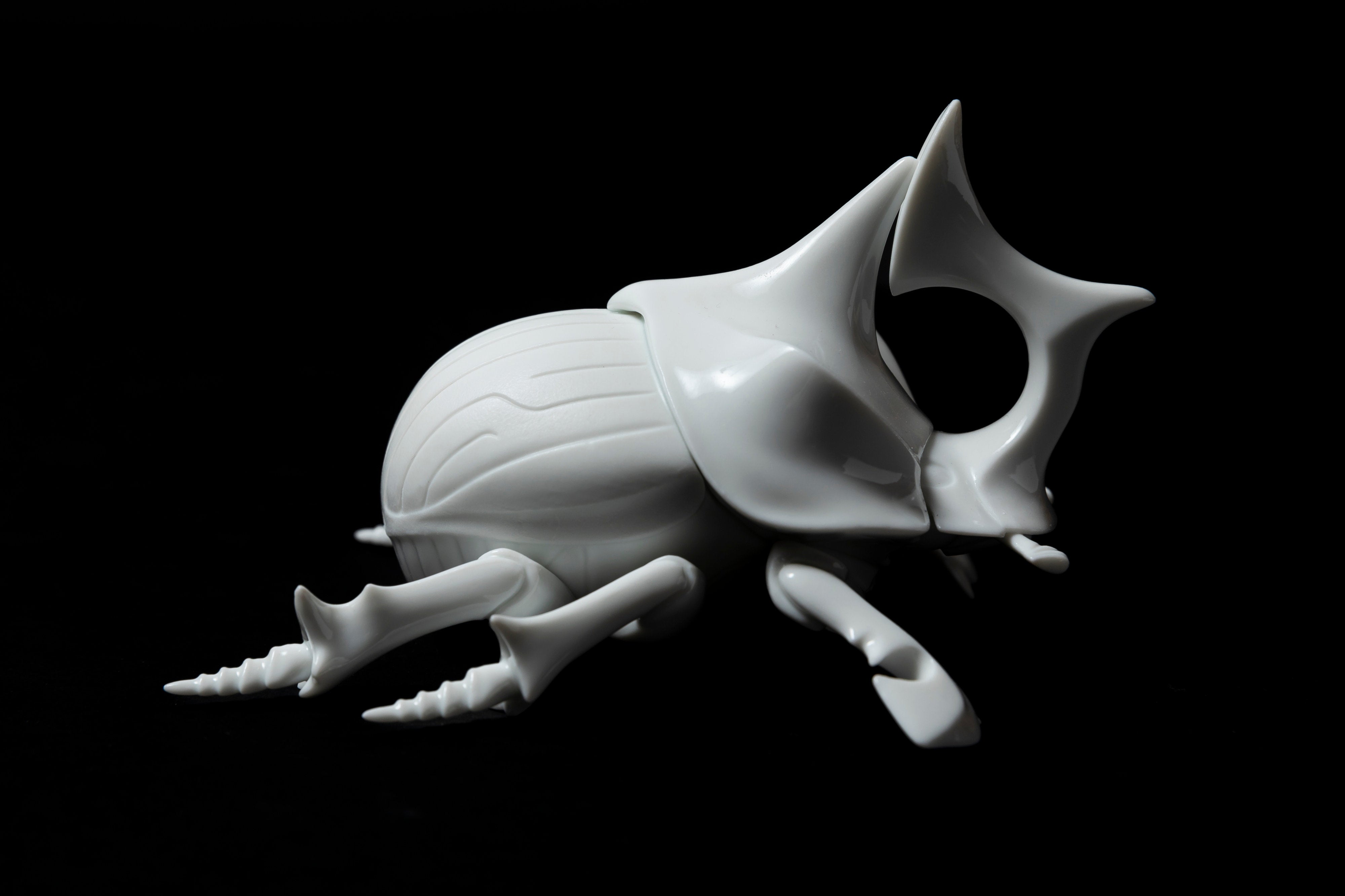 White Horned dung beetleΔ20 | 堀 貴春