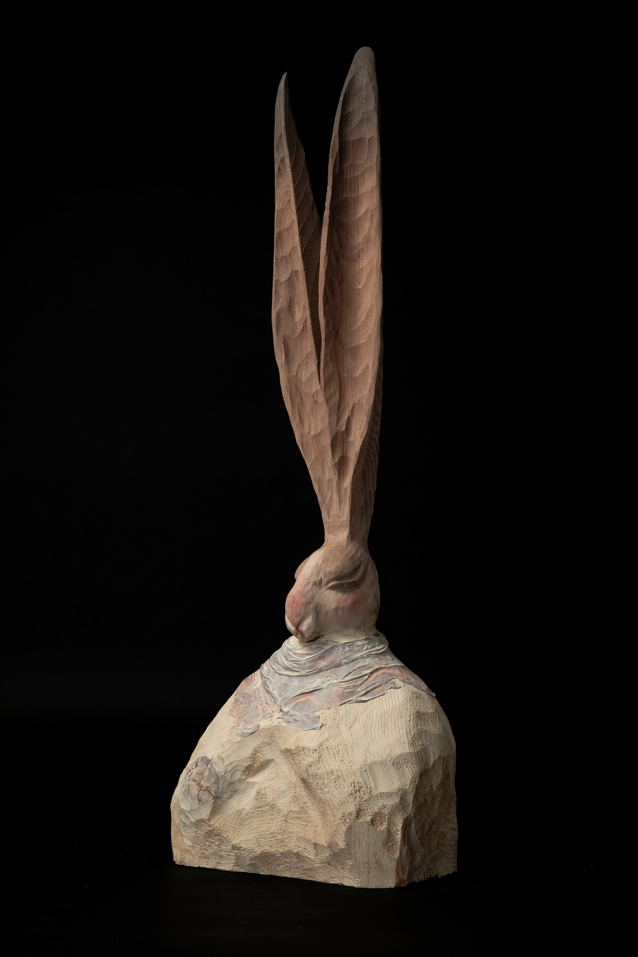 USAGI | 十時 孝好