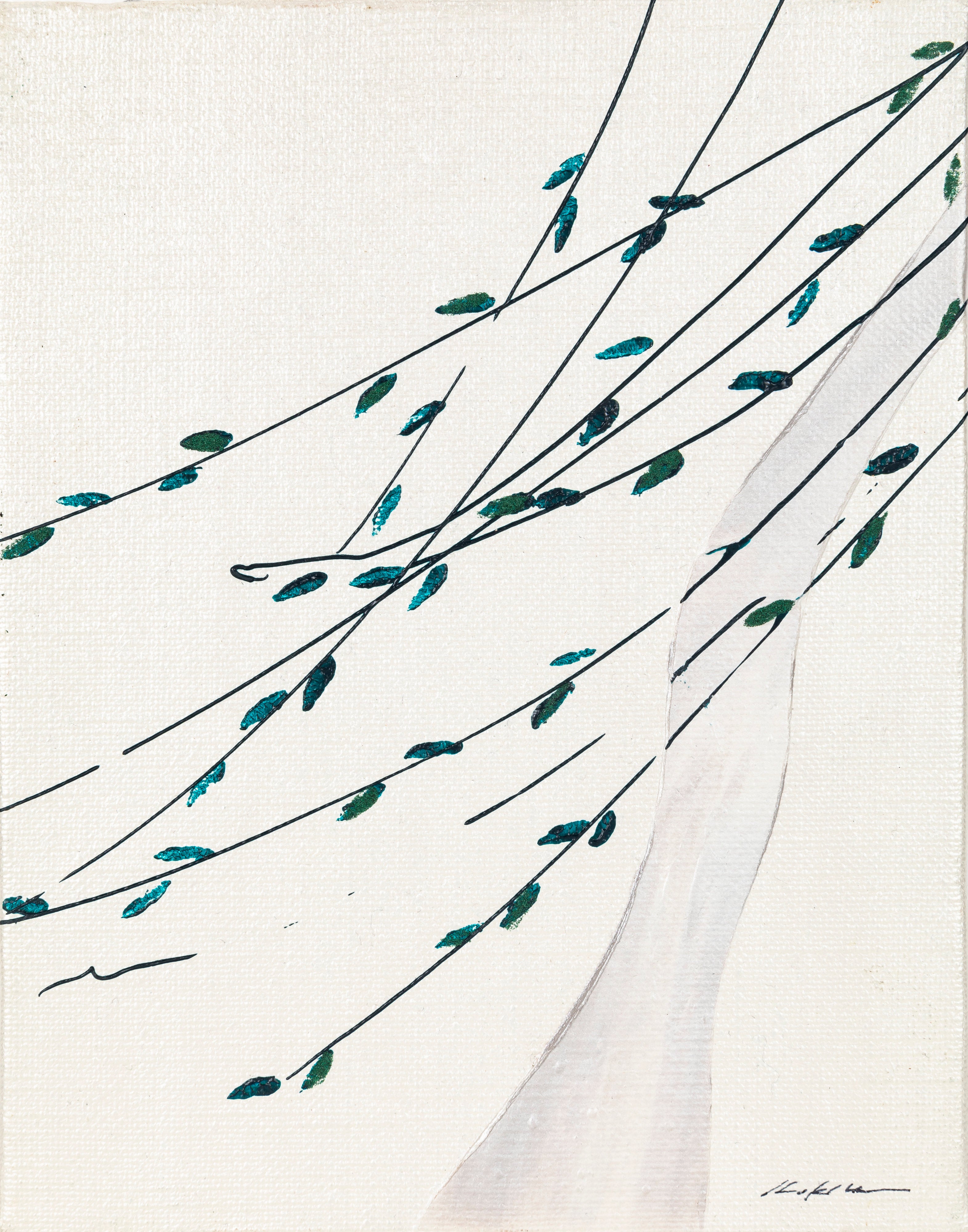 柳 | KOKIN