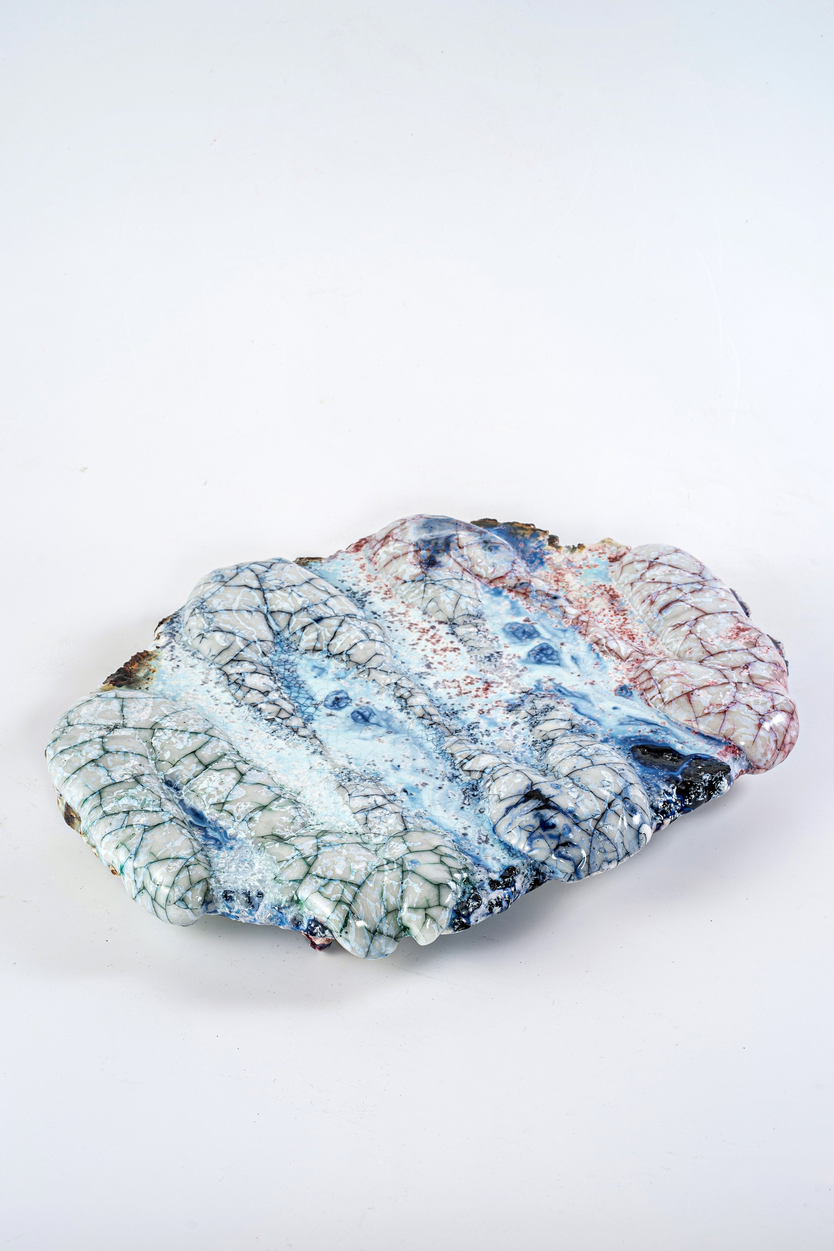 Hybrid Ofuke ＆ White Glaze Plate | 氏家 昂大