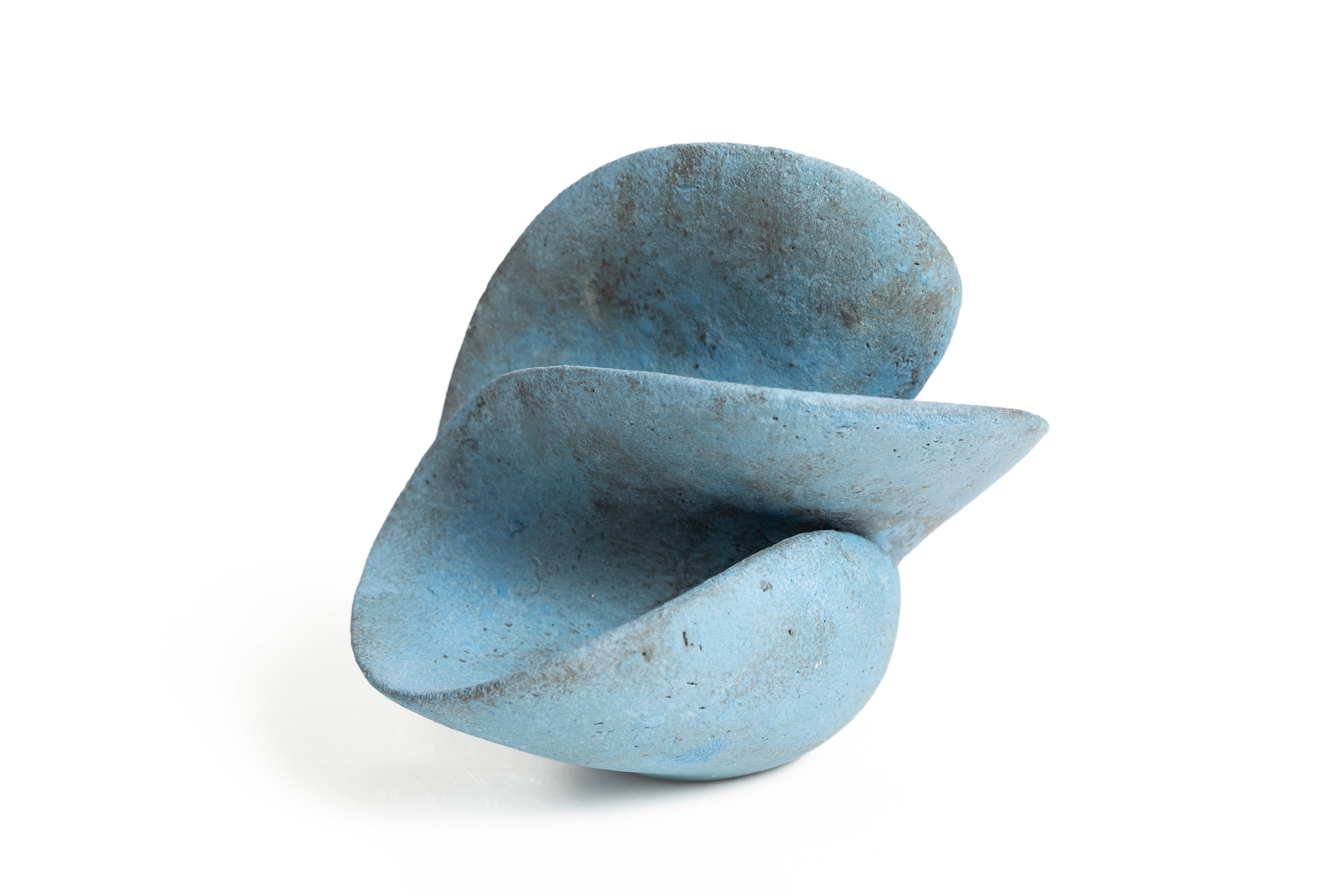 宙の種（そらのたね） | 竹村 友里