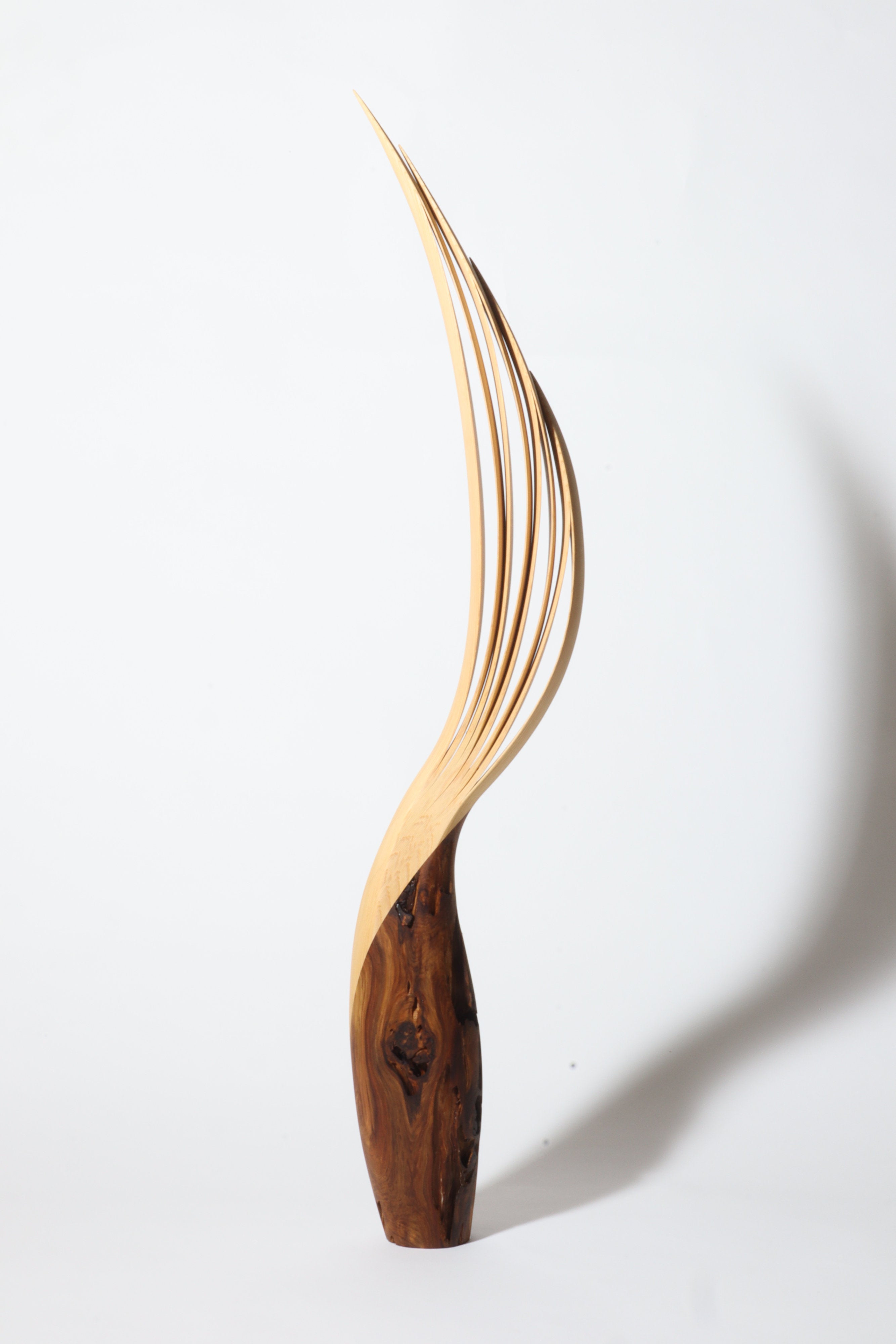 「飛翔」 | 平井 健太