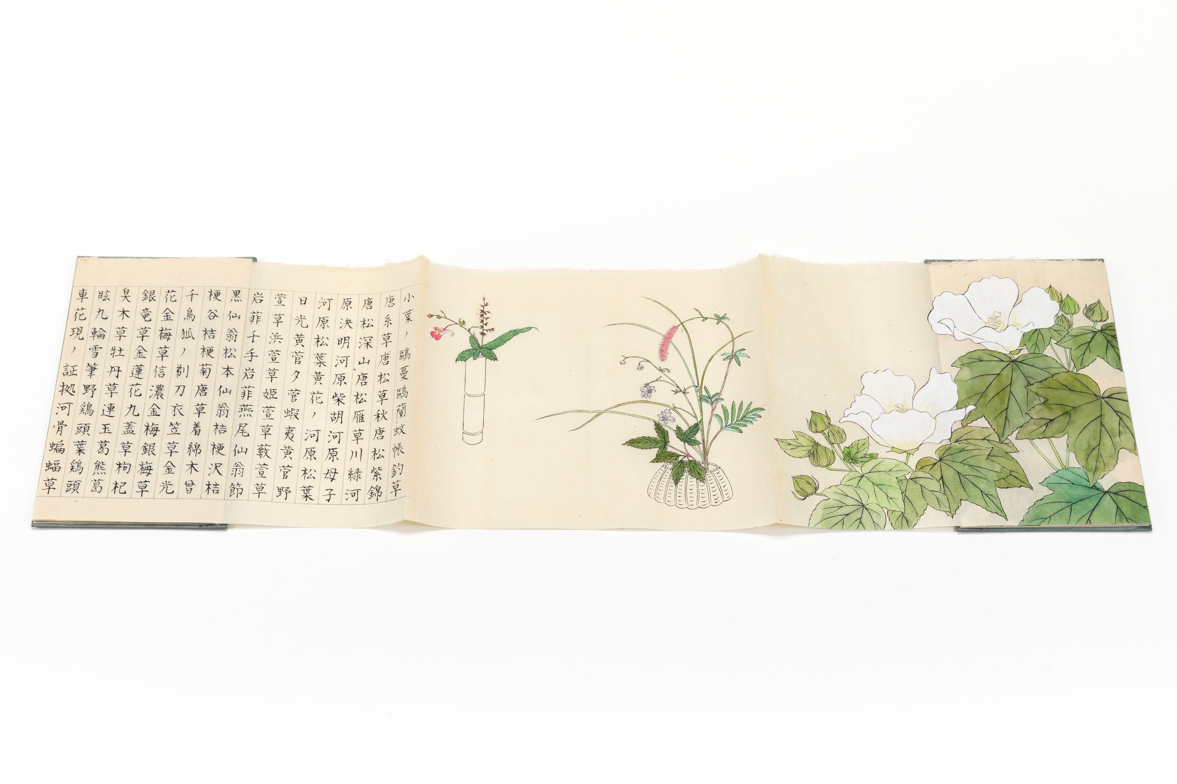 折本 「茶花帖」 | 川岸 富士男