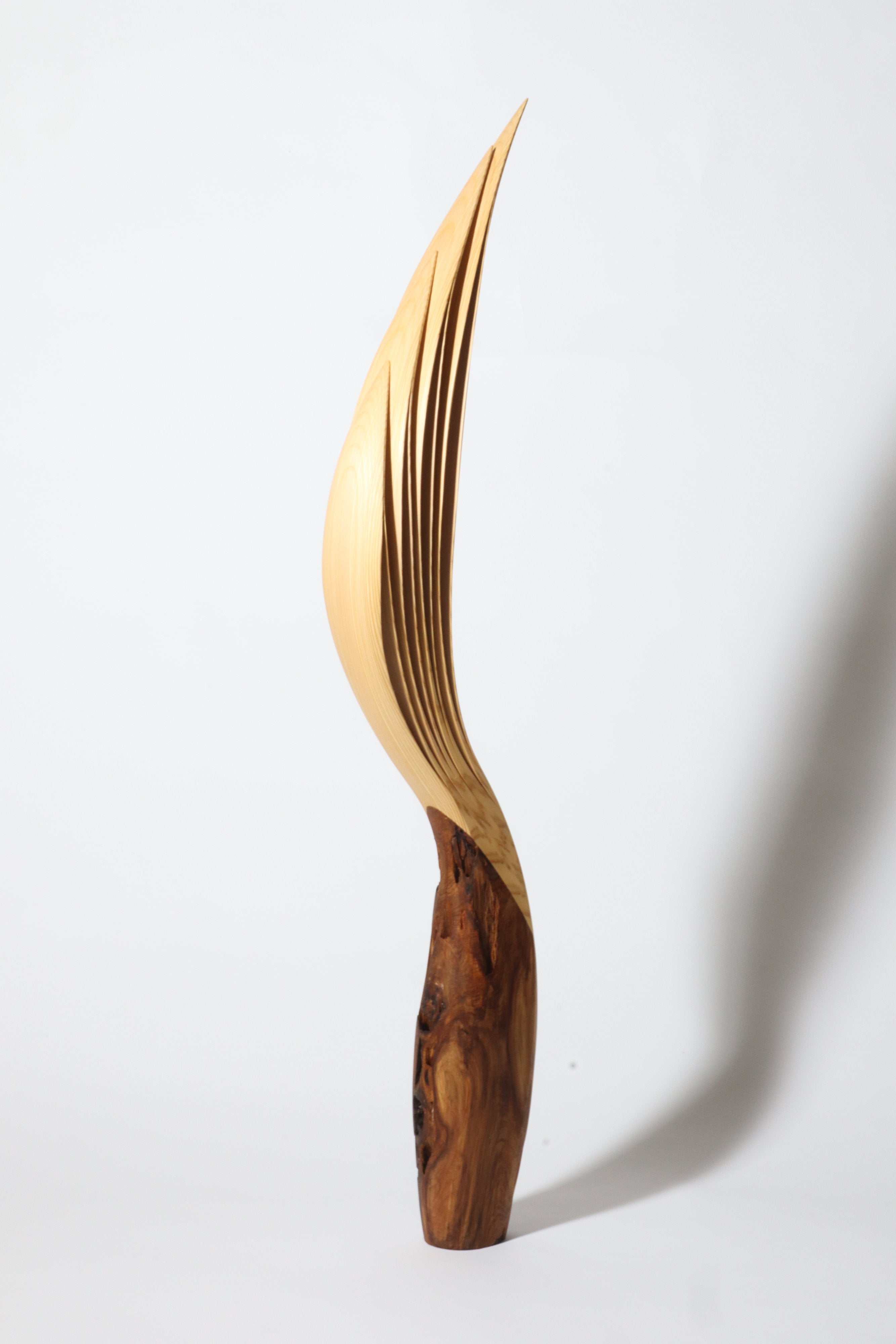 「飛翔」 | 平井 健太