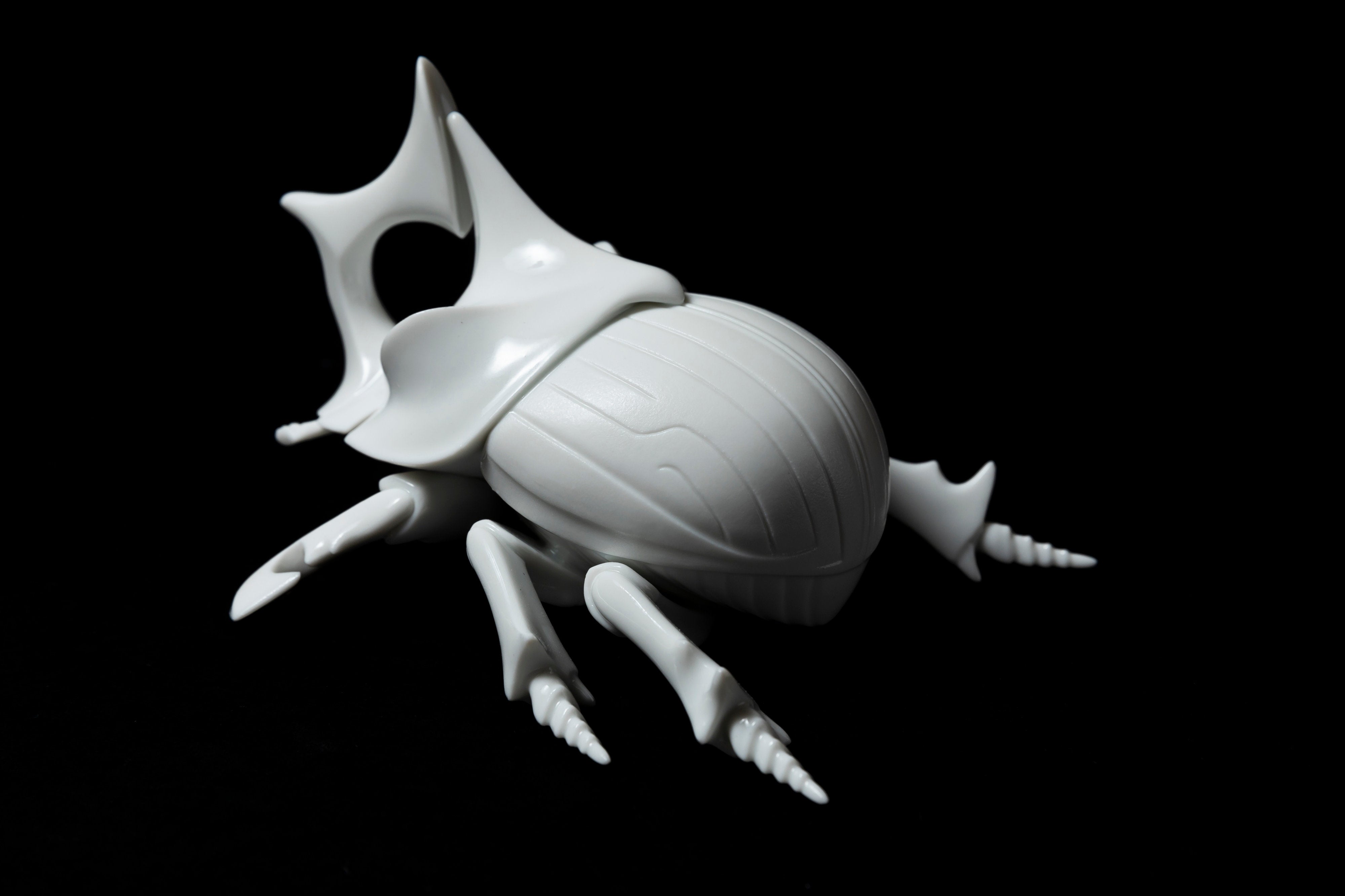 White Horned dung beetleΔ20 | 堀 貴春