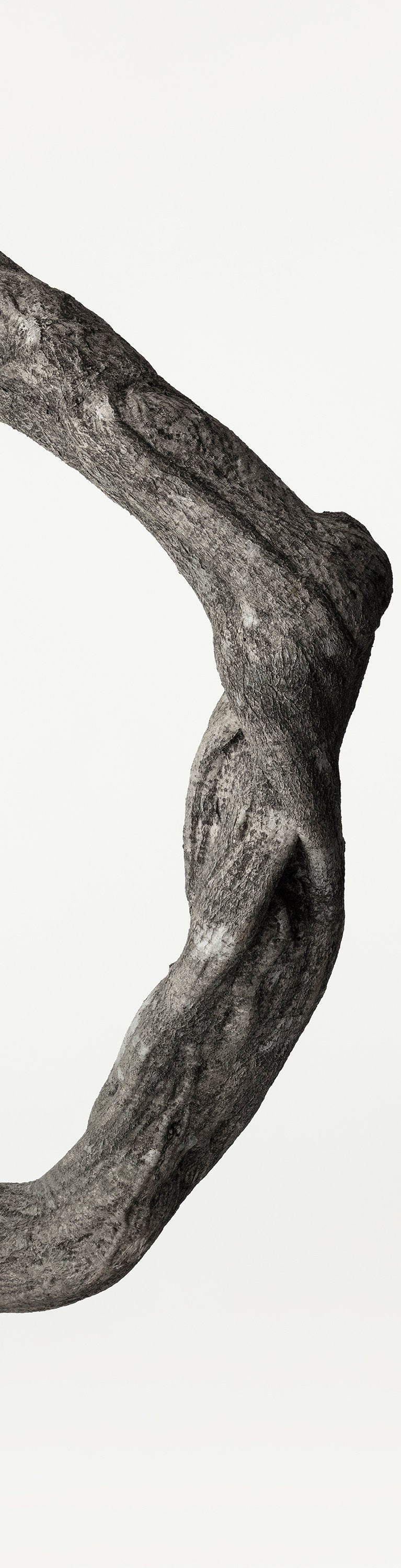 「藤蔓 3」（1/15) | 鞆岡 隆史