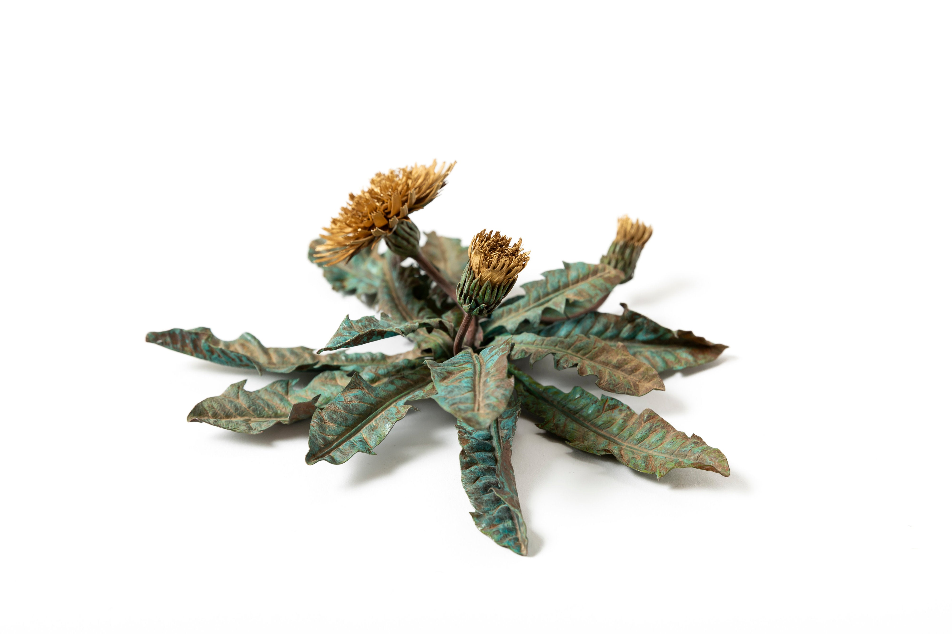 「旅の記憶 ：35.01xx° N, 135.67xx° E — Dandelion」 | 鈴木 祥太