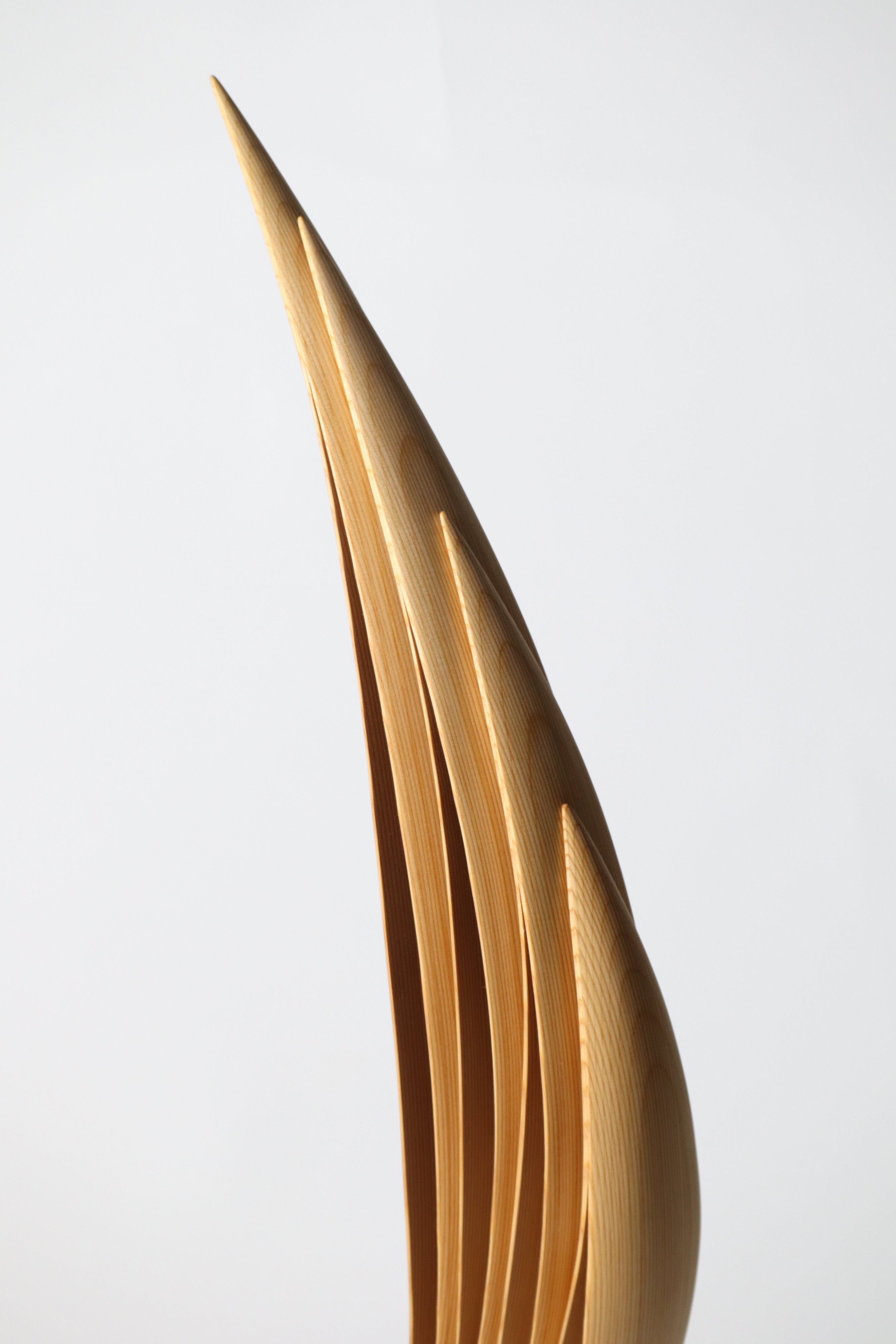 「飛翔」 | 平井 健太