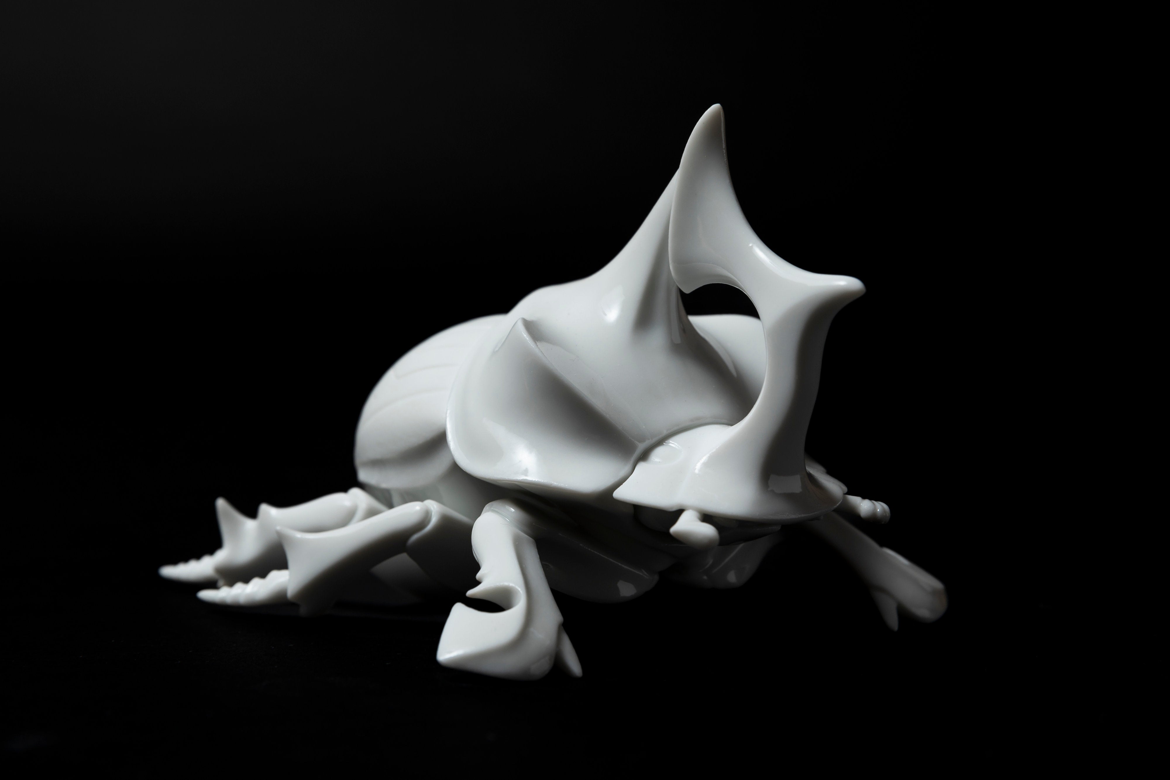 White Horned dung beetleΔ20 | 堀 貴春