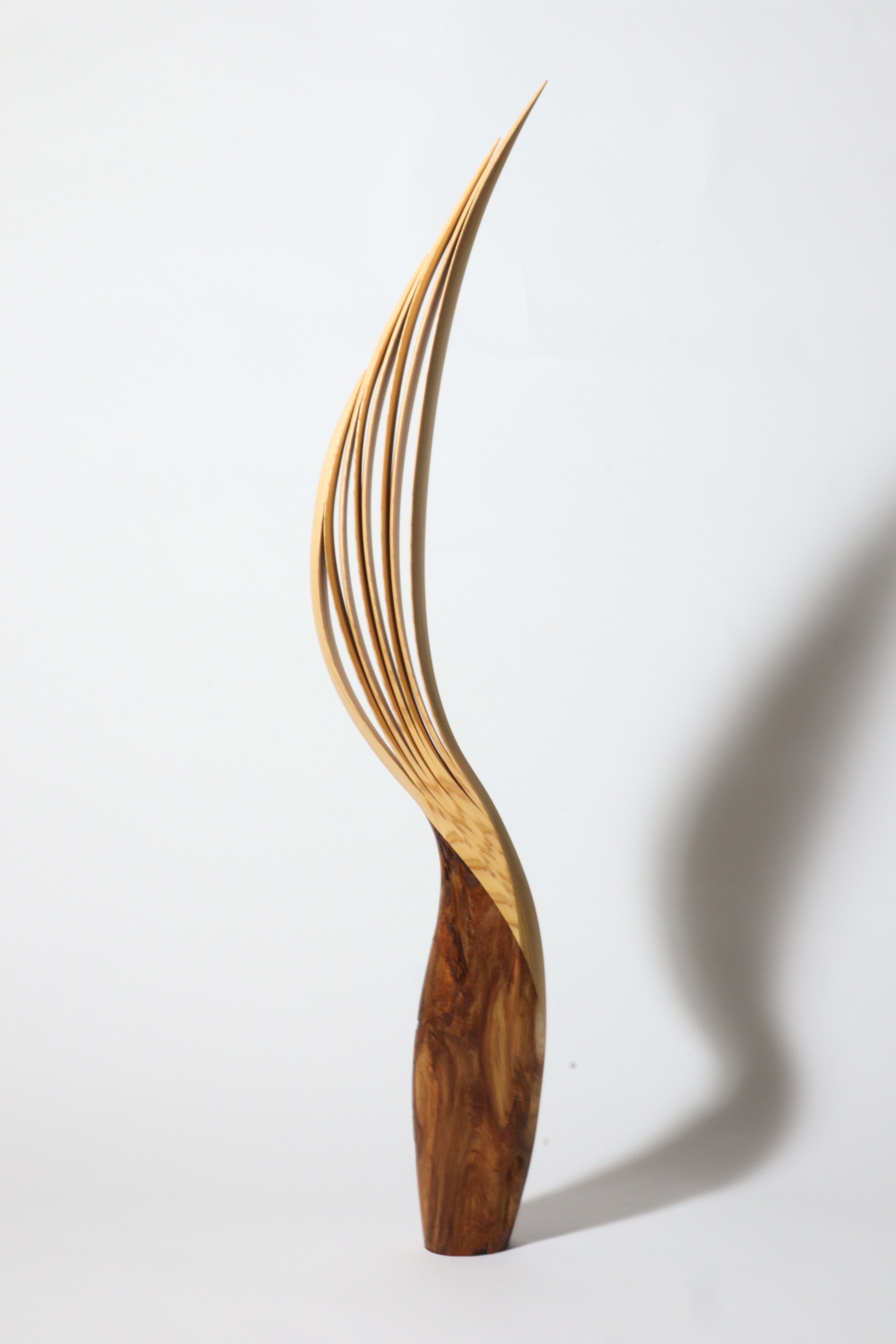 「飛翔」 | 平井 健太