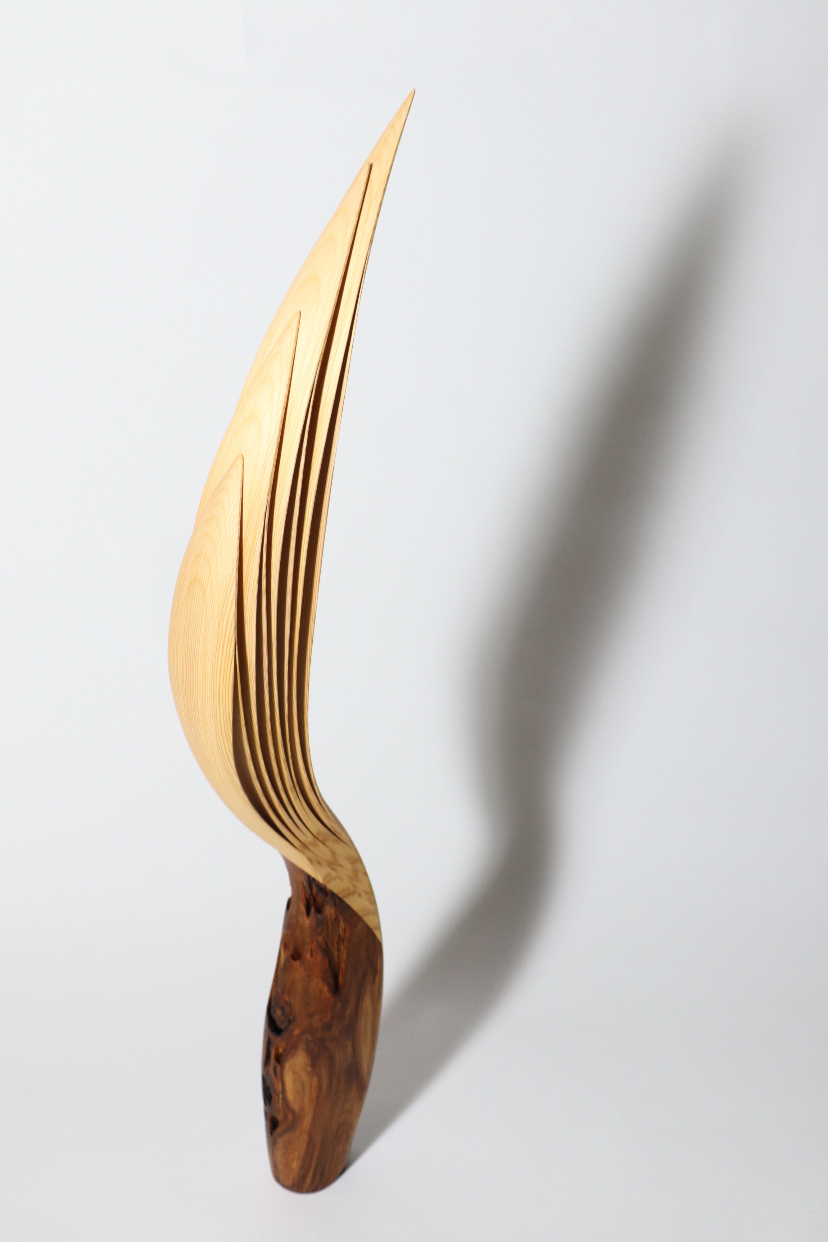 「飛翔」 | 平井 健太