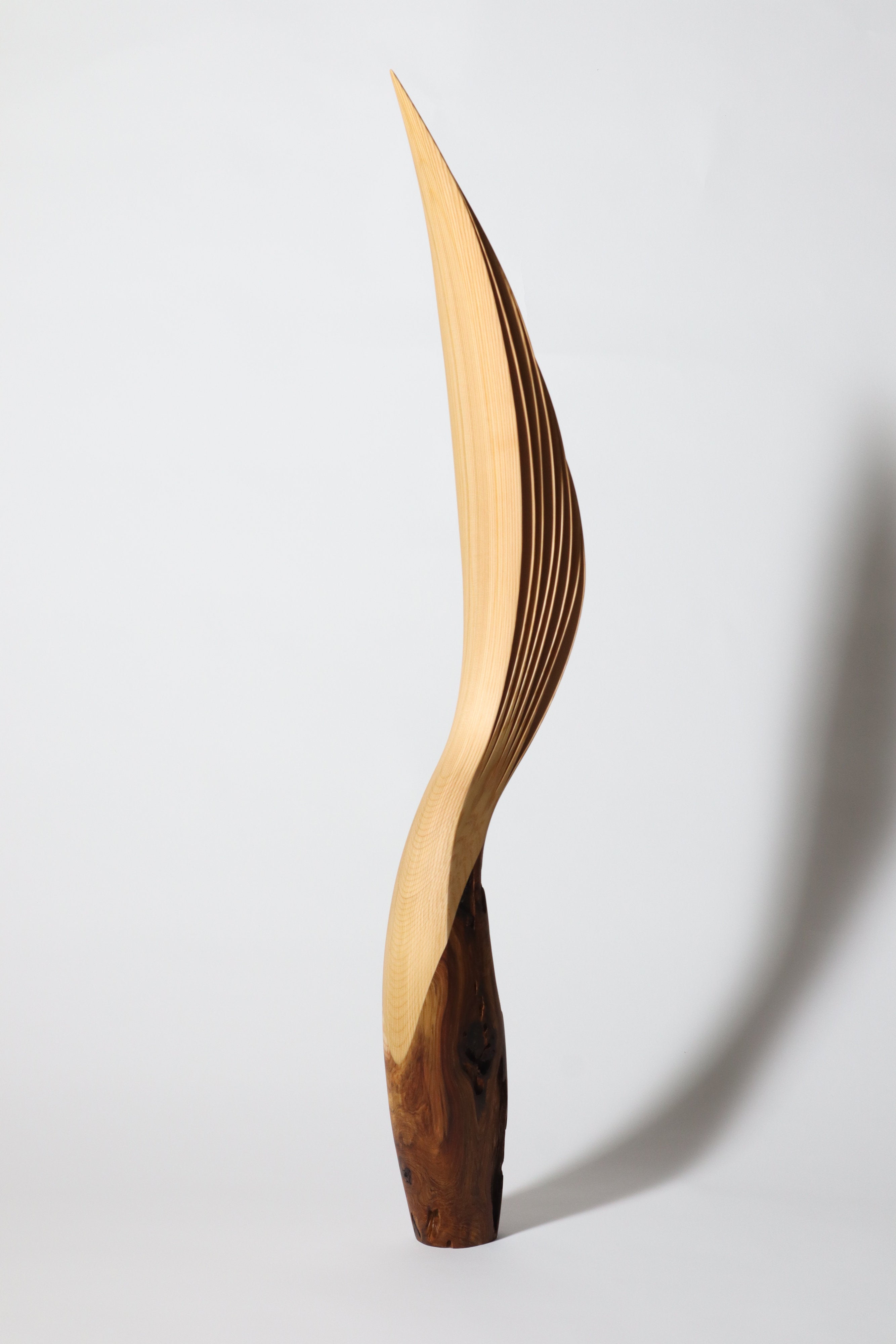 「飛翔」 | 平井 健太