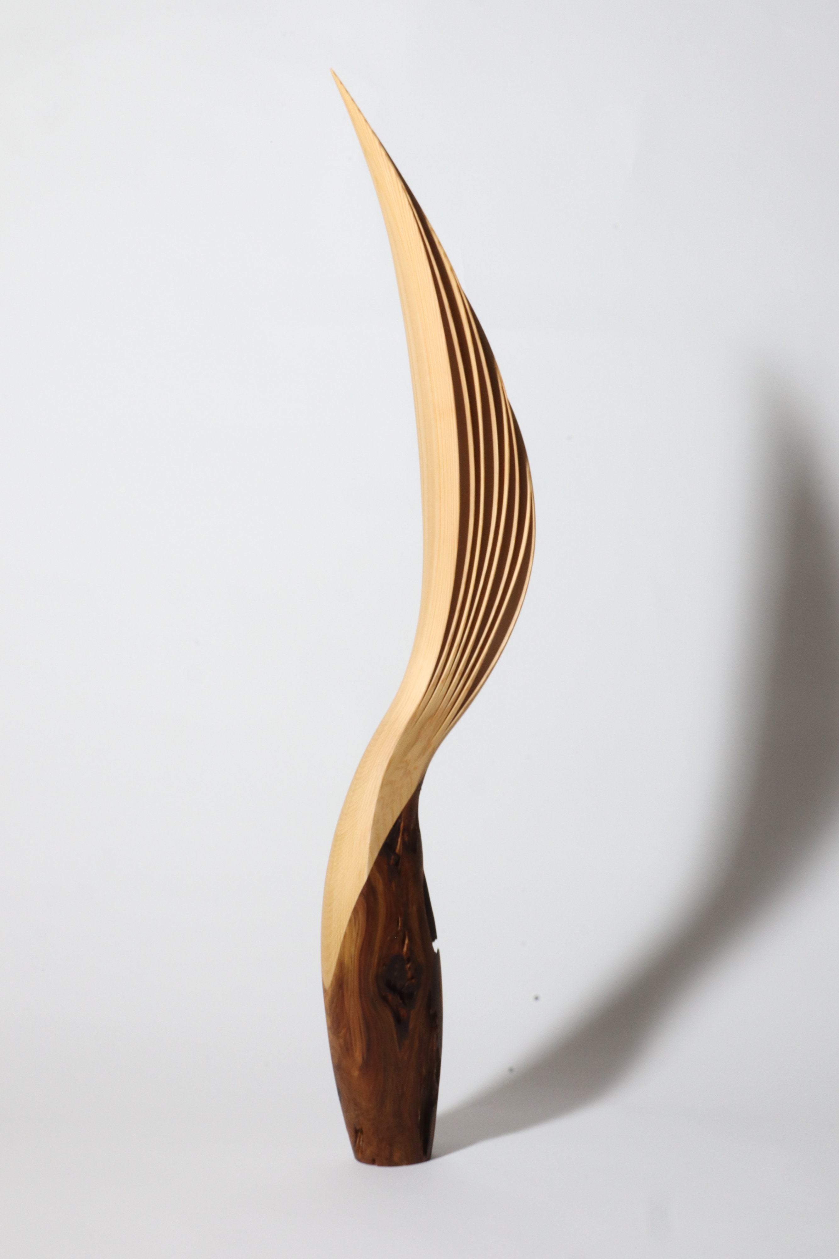 「飛翔」 | 平井 健太