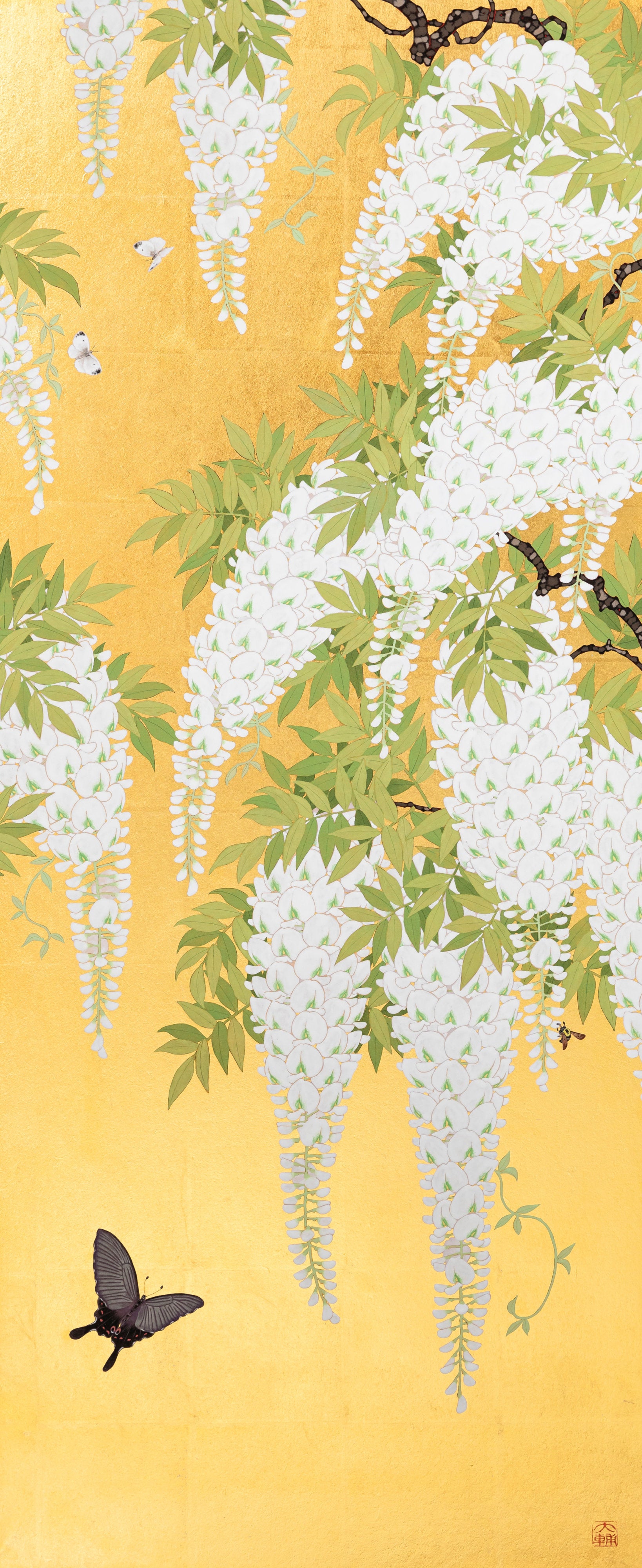 白藤「風の香」 | 中野大輔