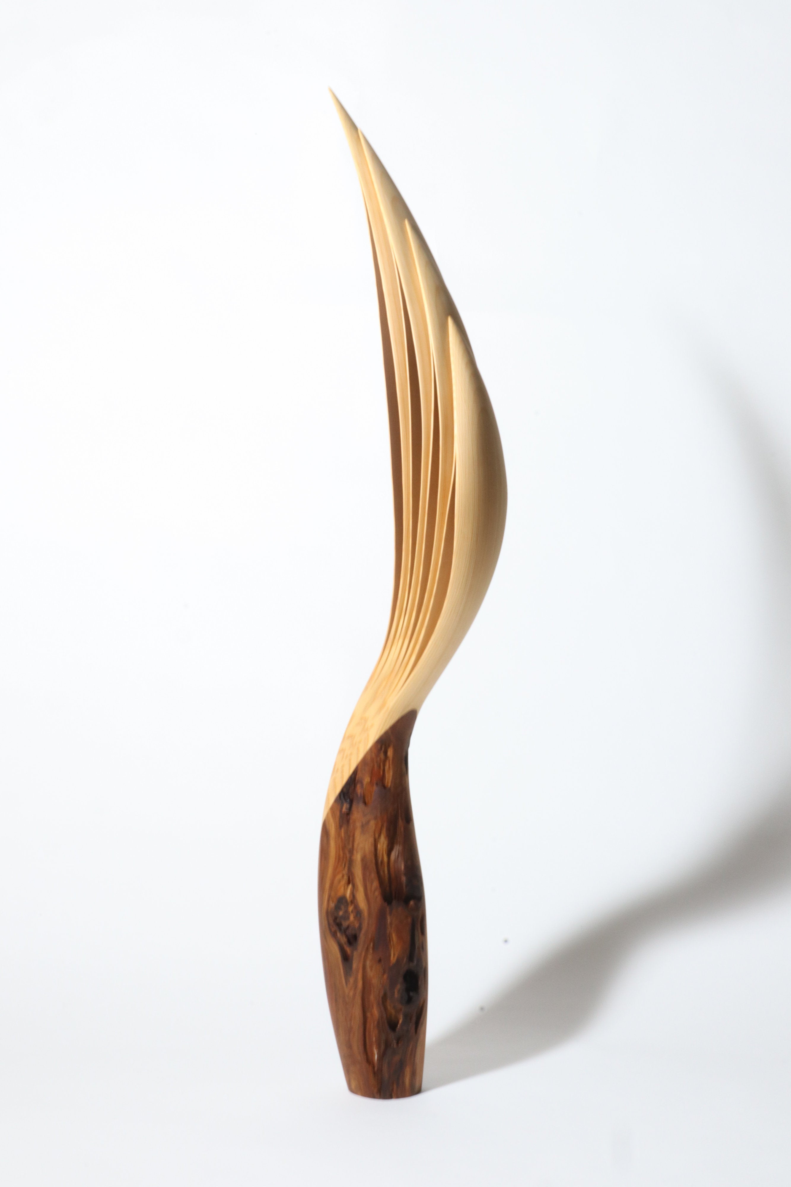 「飛翔」 | 平井 健太