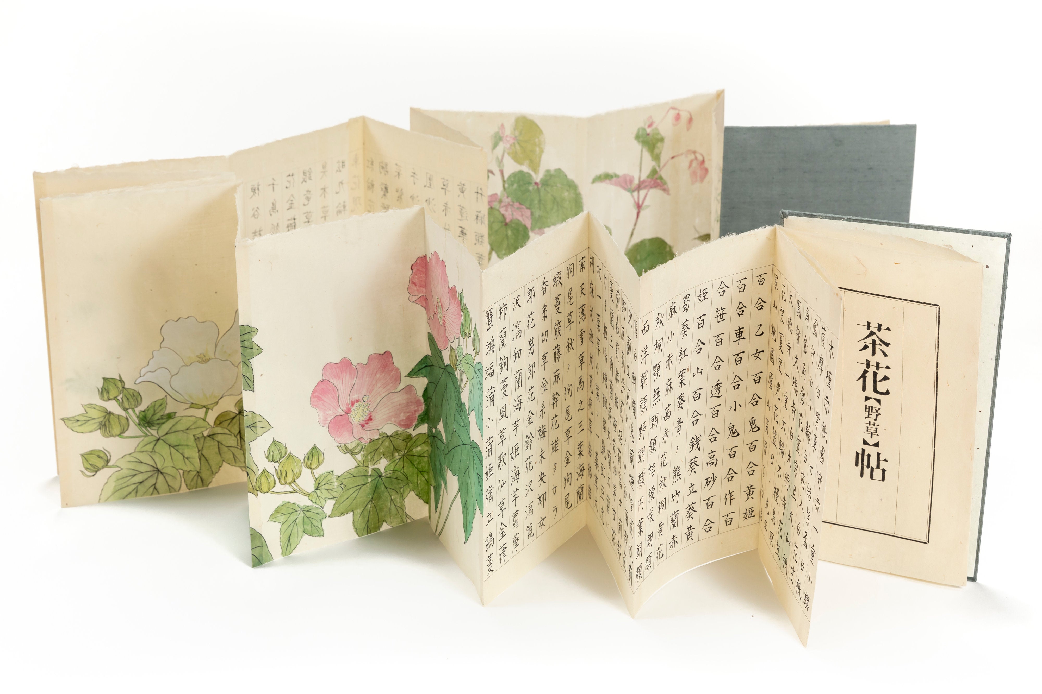 折本 「茶花帖」 | 川岸 富士男